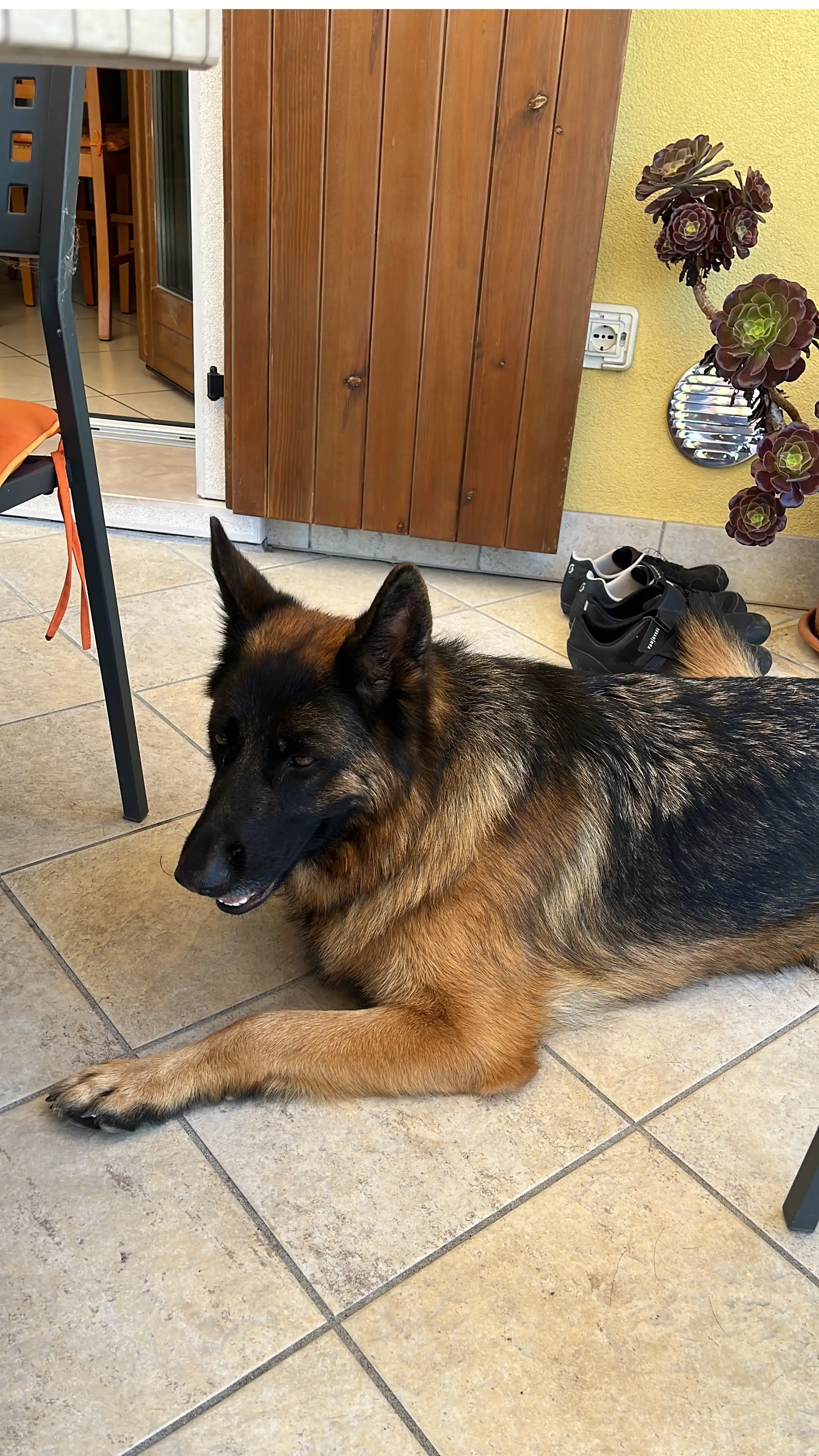 image-11