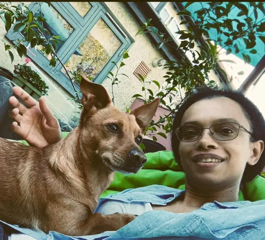 image-1