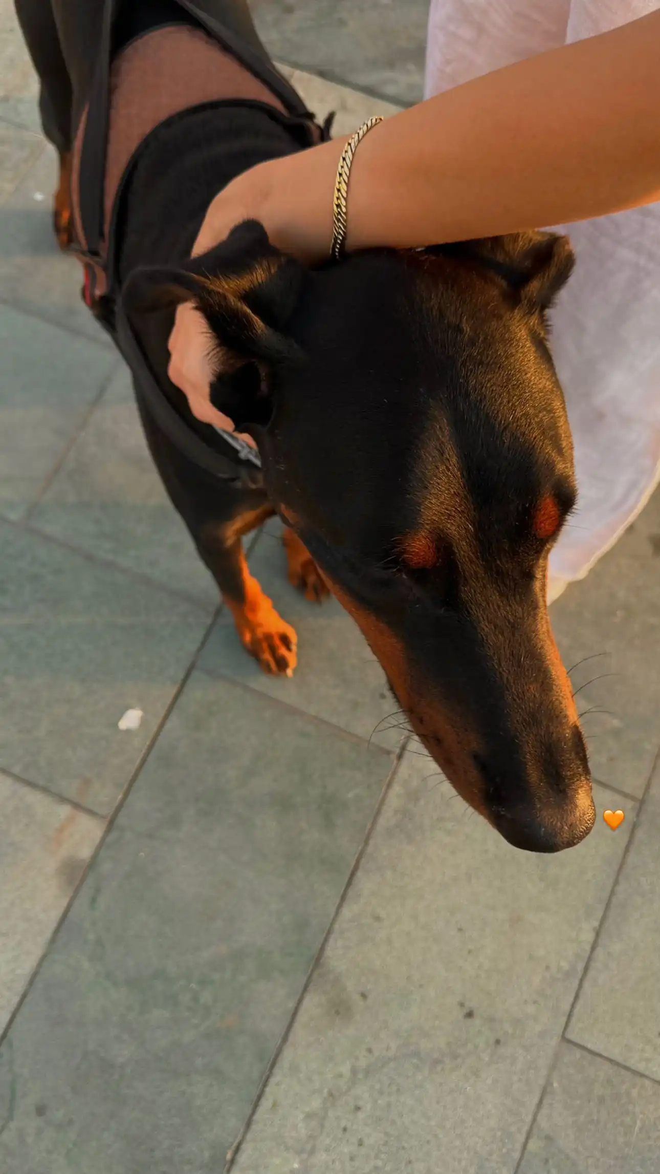 image-10