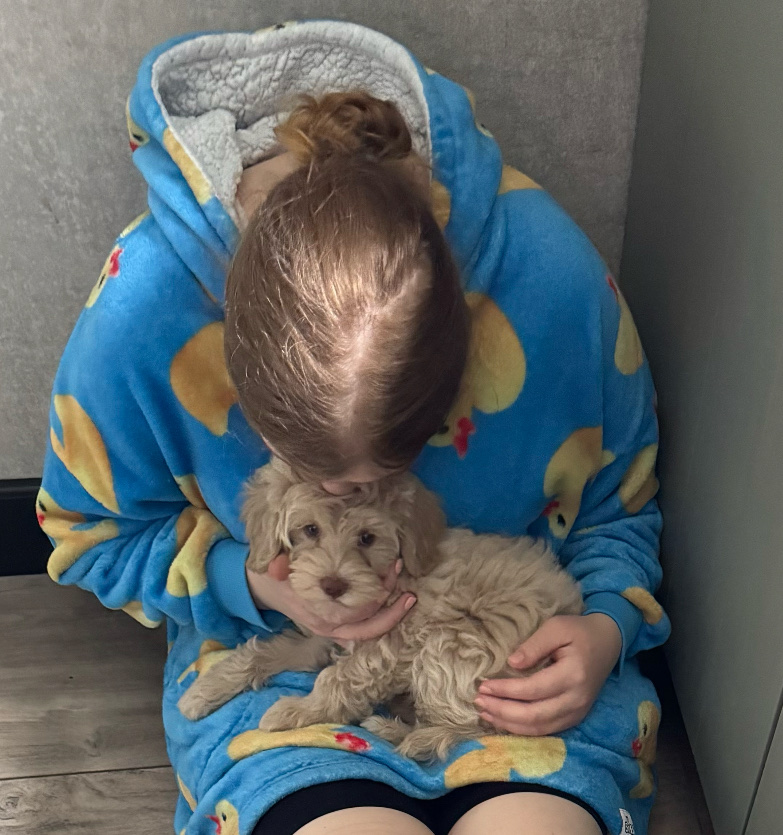 image-4