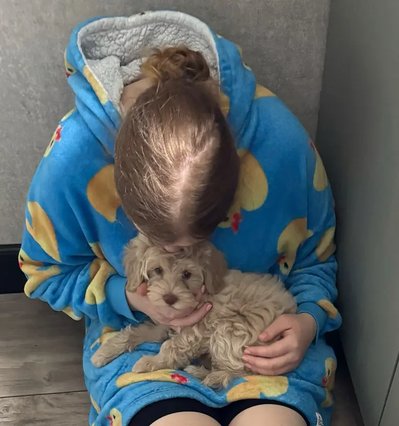 image-4