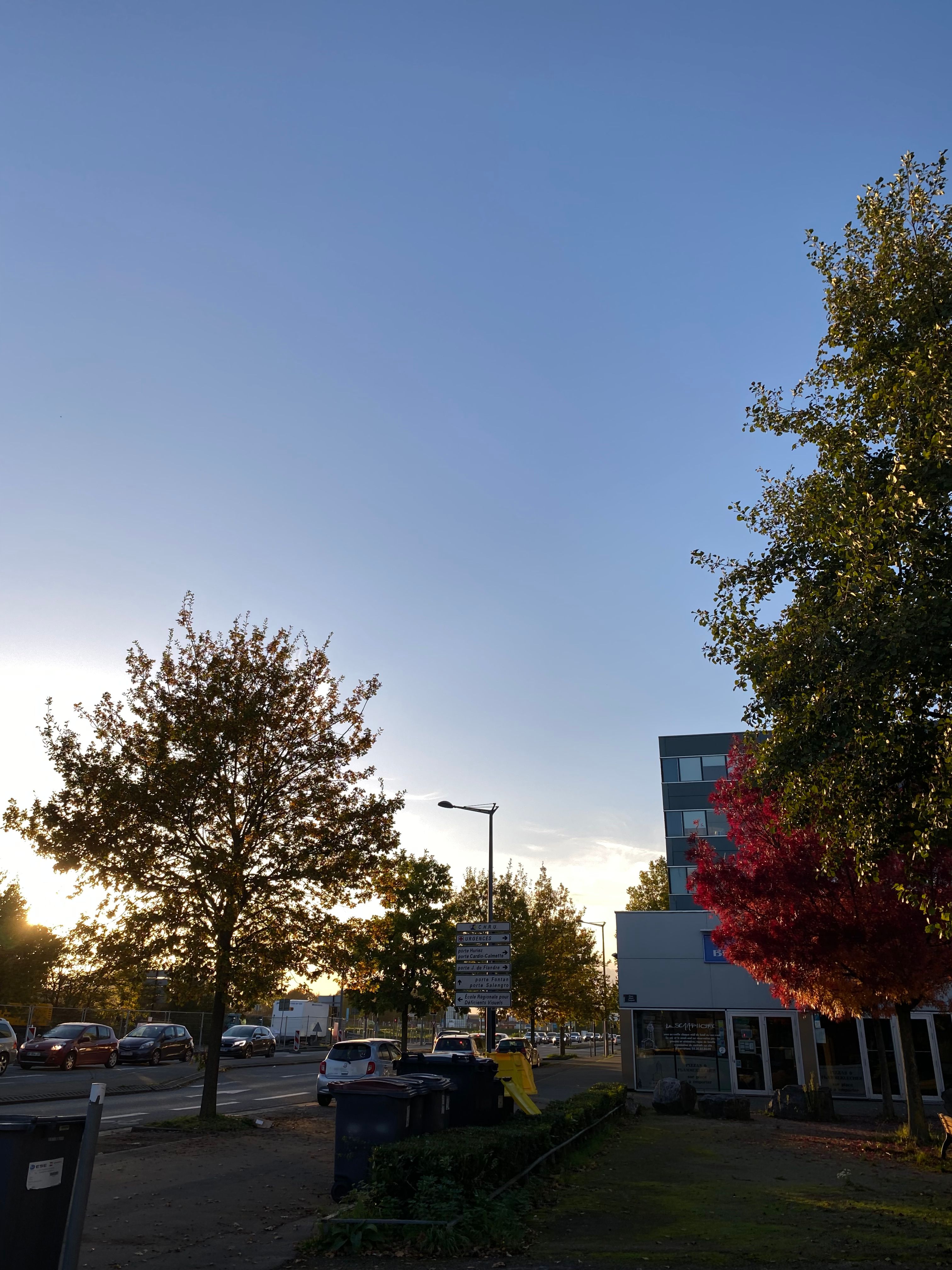 image-6