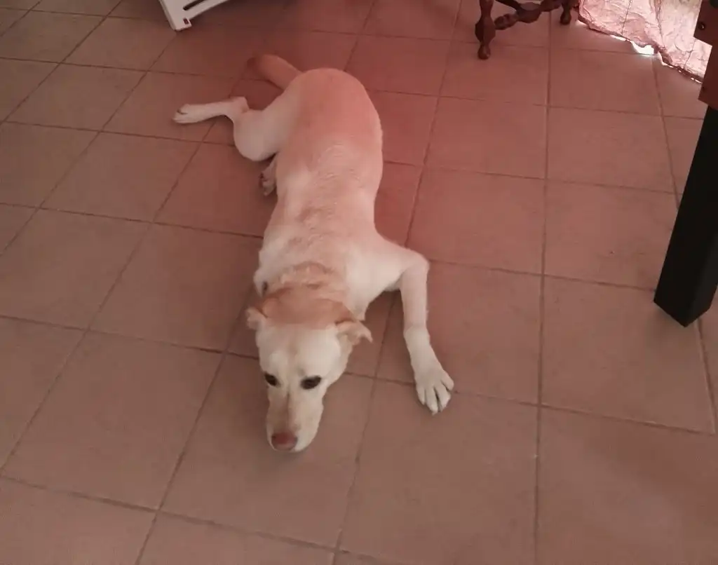 image-23