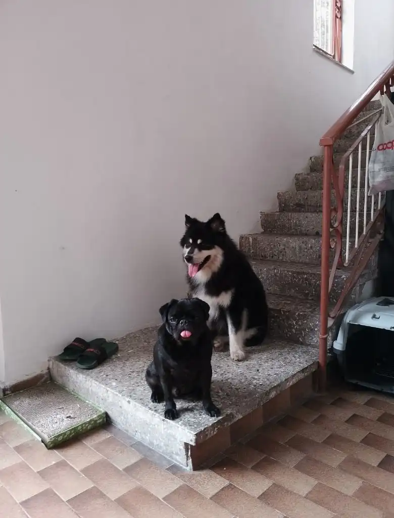 image-16
