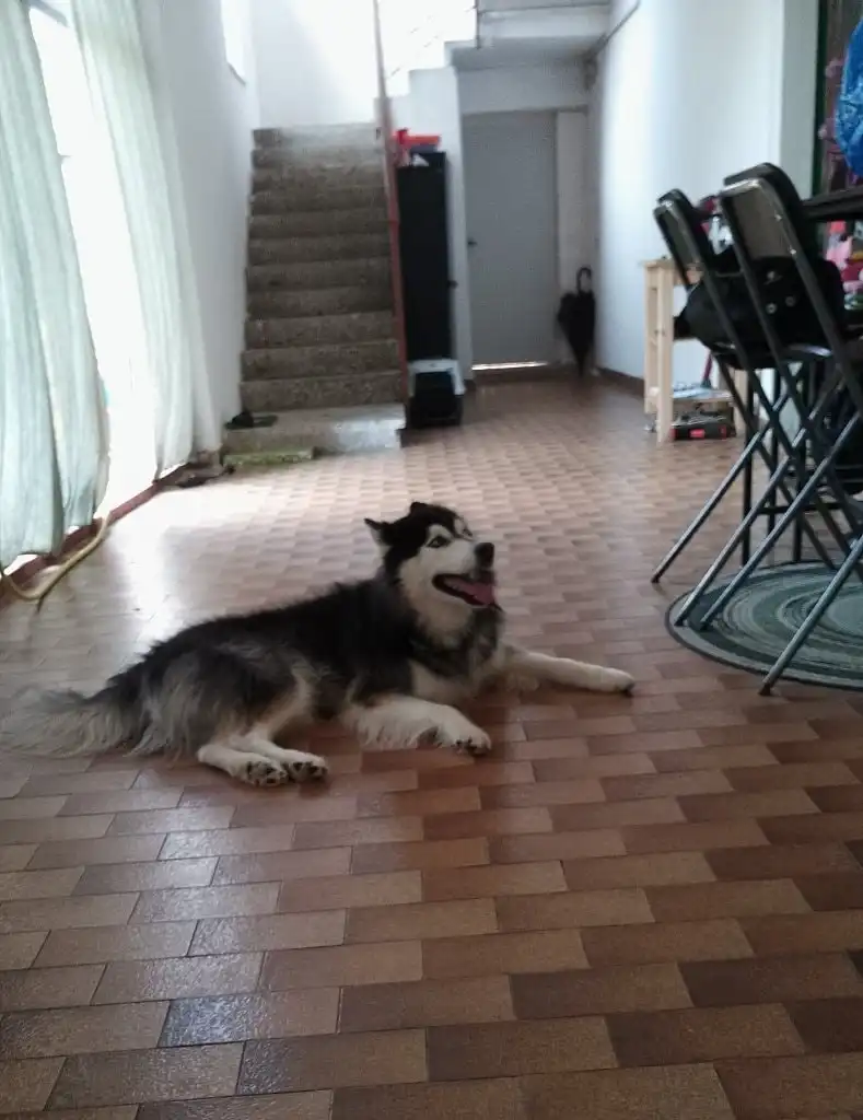 image-5