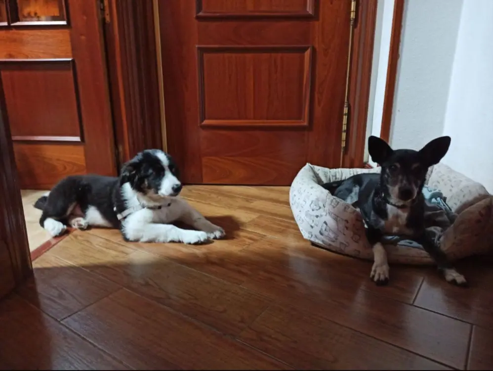image-4