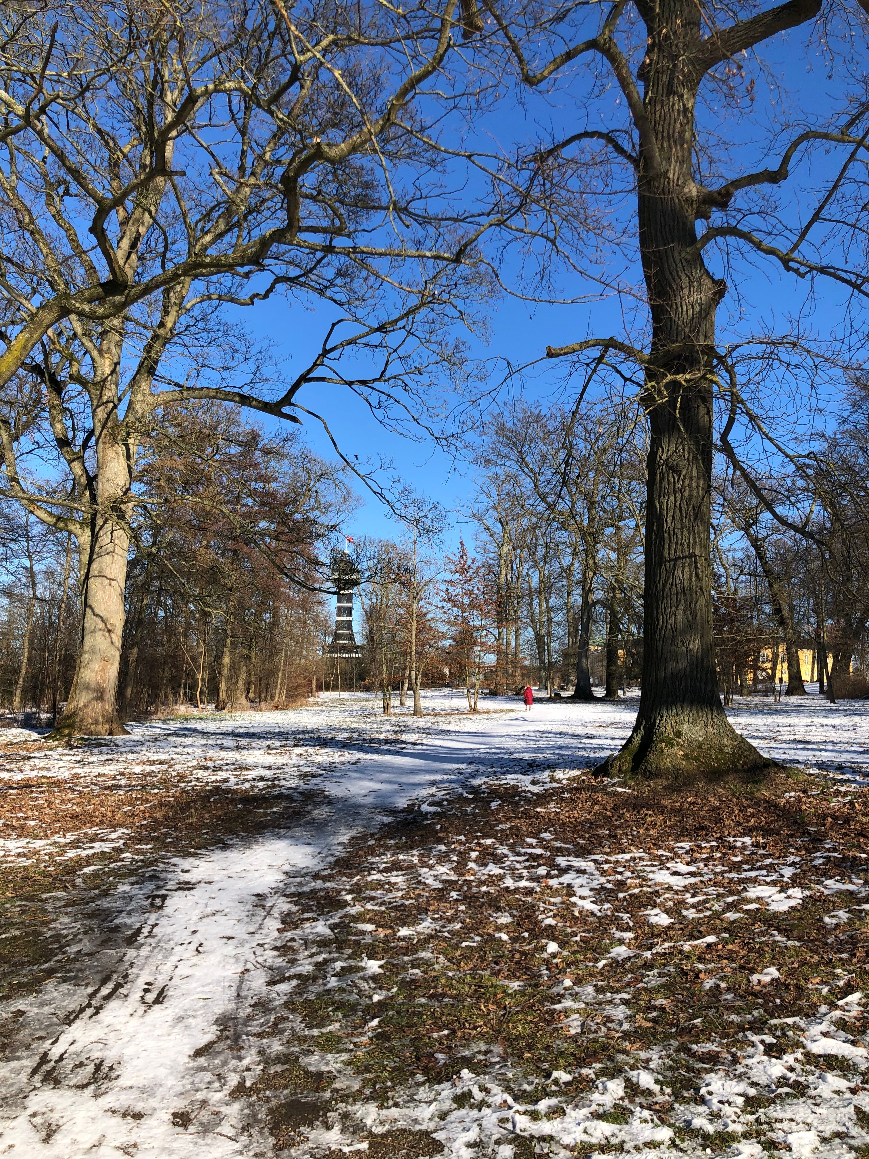 image-10