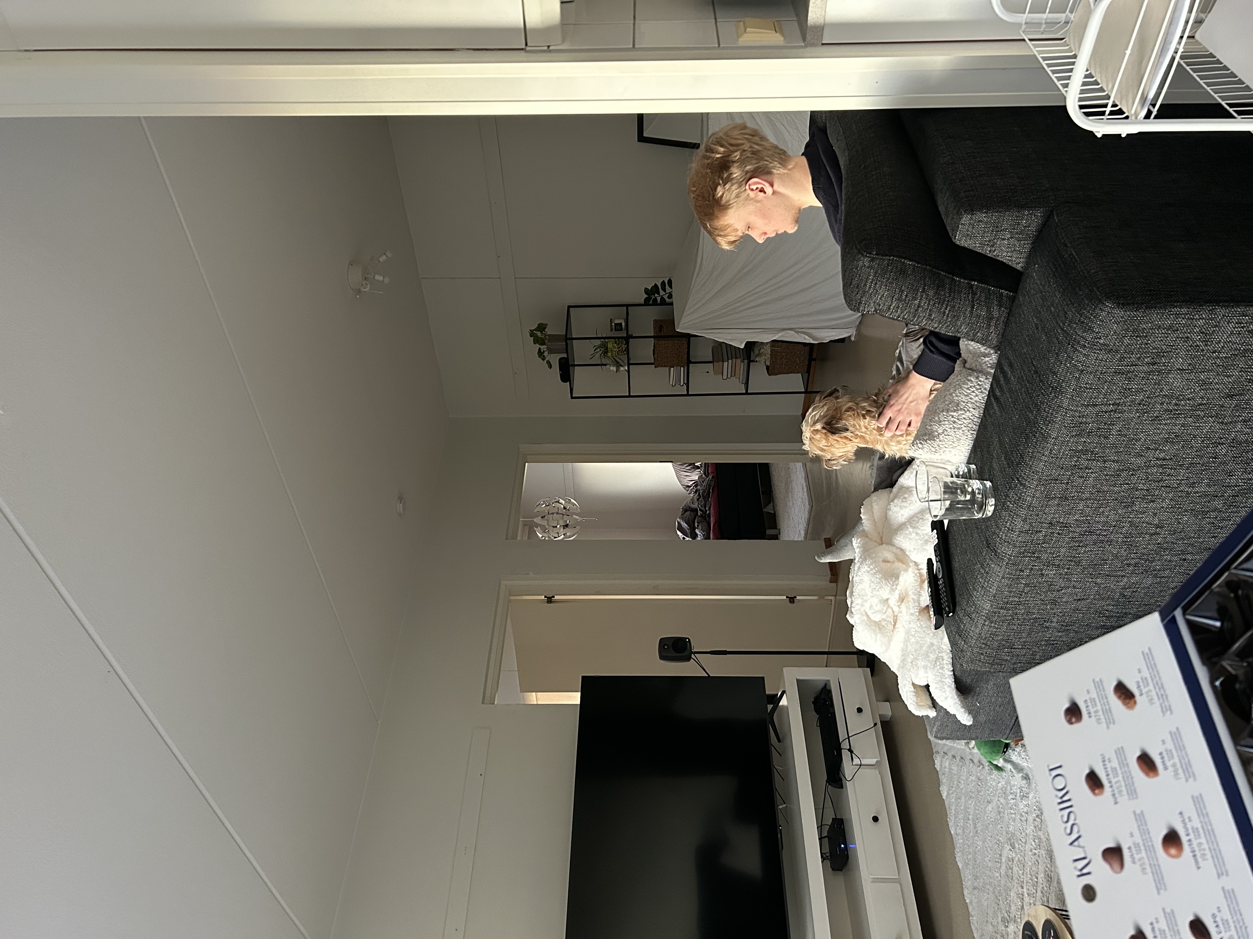 image-14