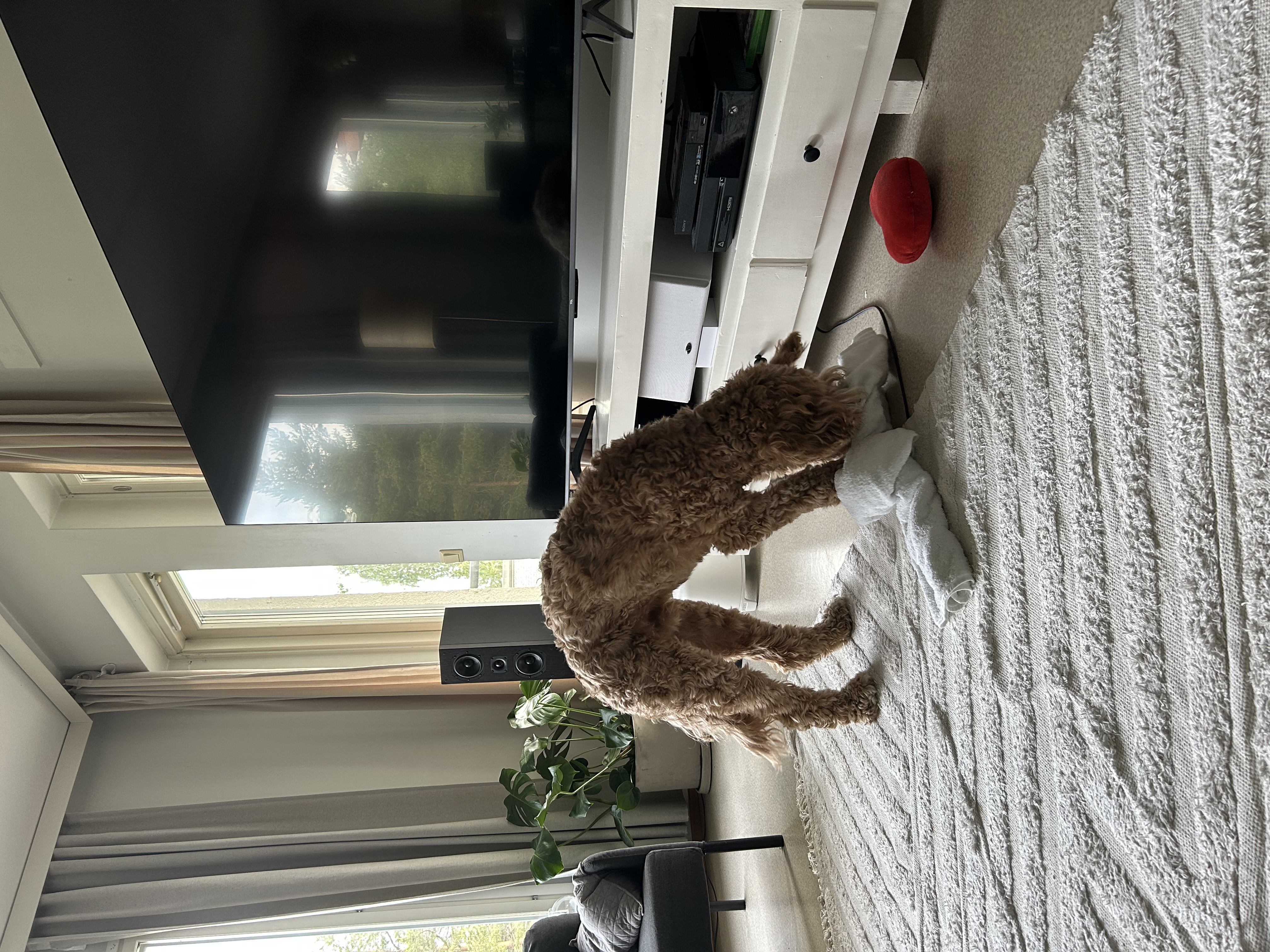 image-10