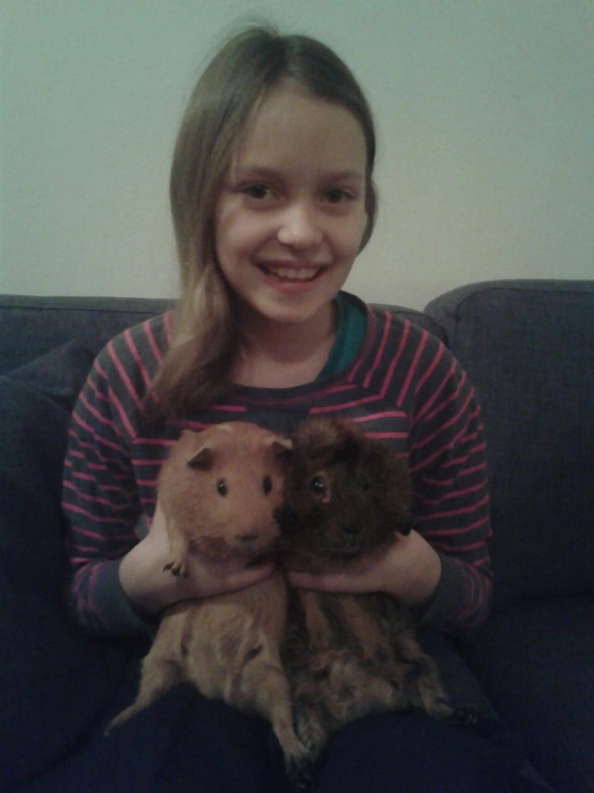 image-7