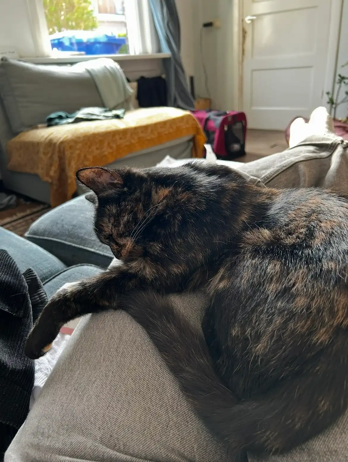 image-8