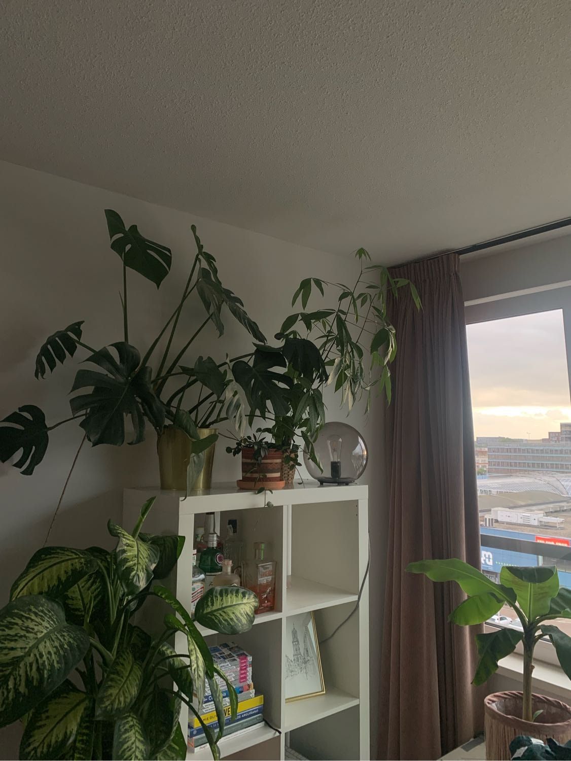 image-9