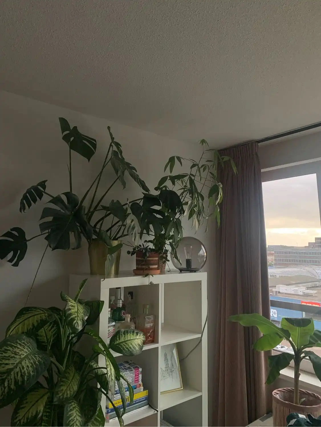 image-9