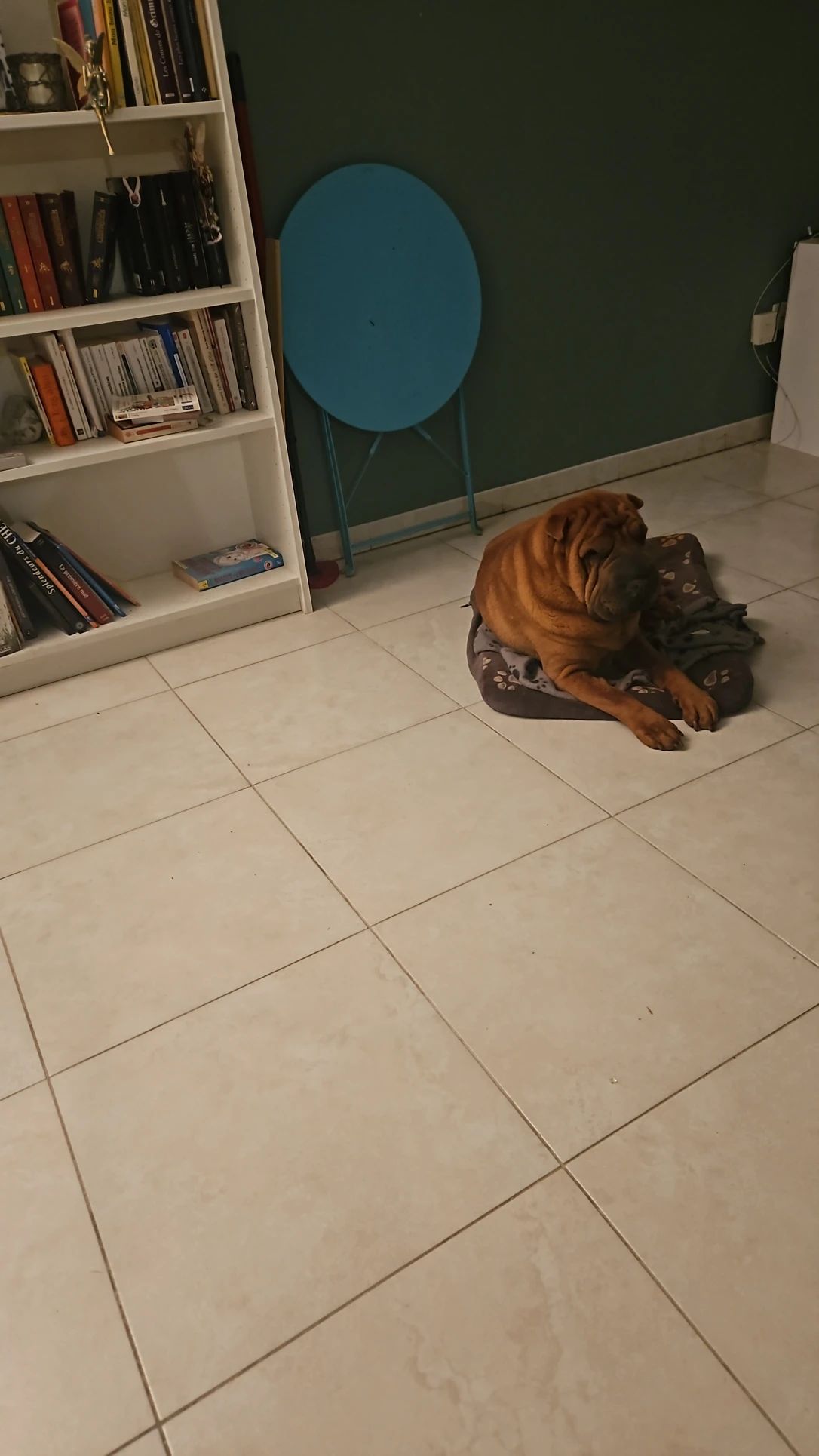 image-9