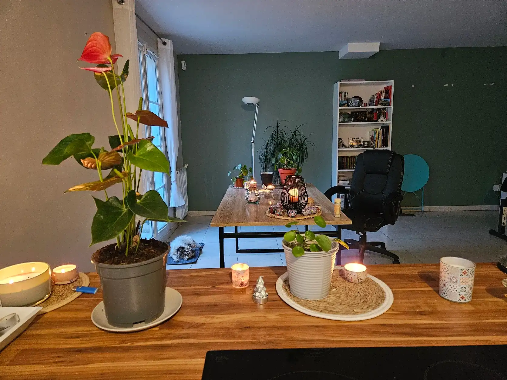 image-16