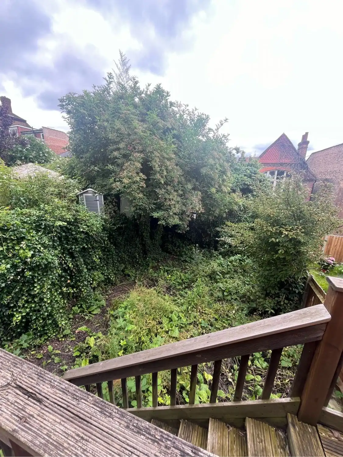 image-11
