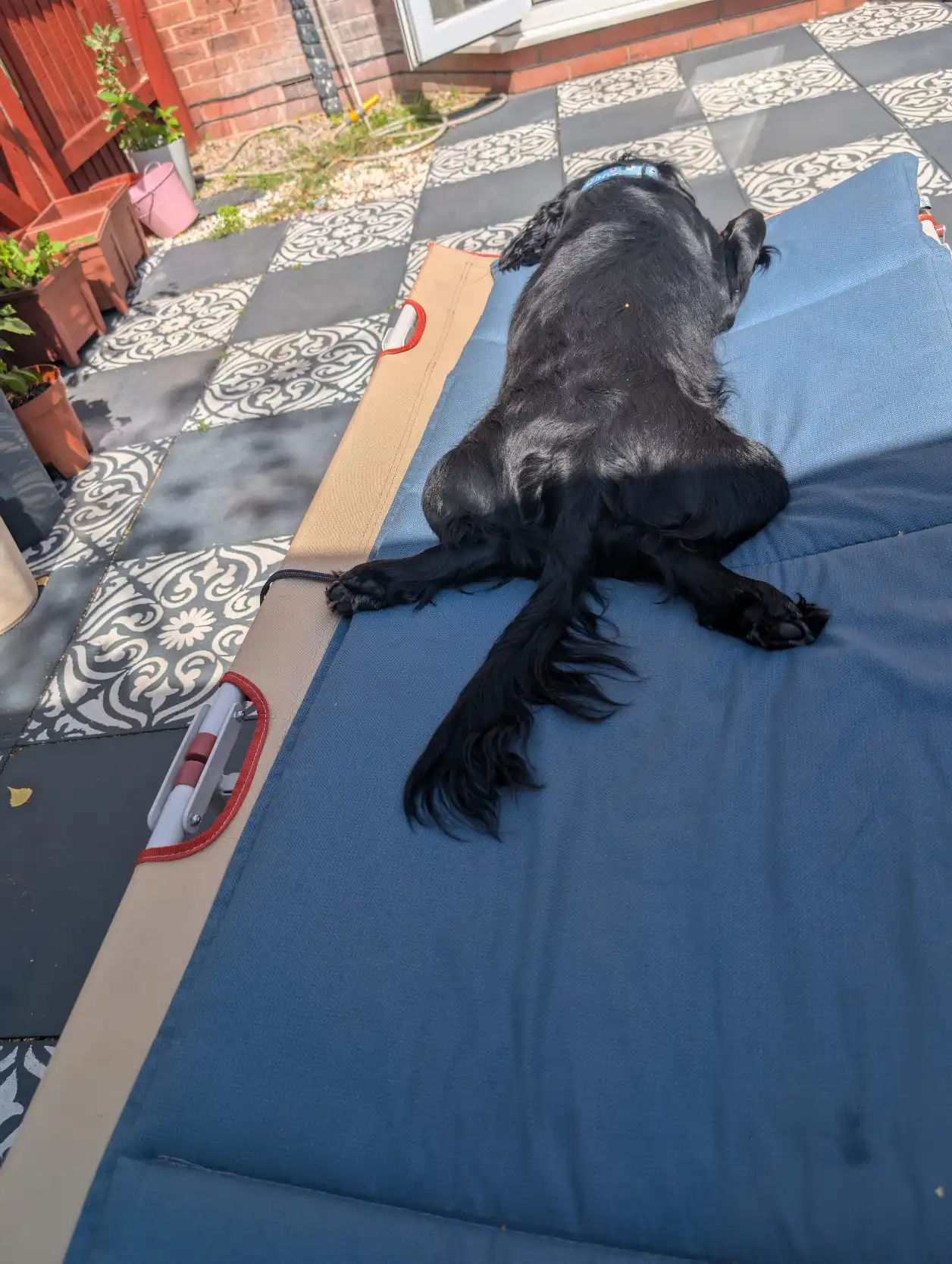 image-9