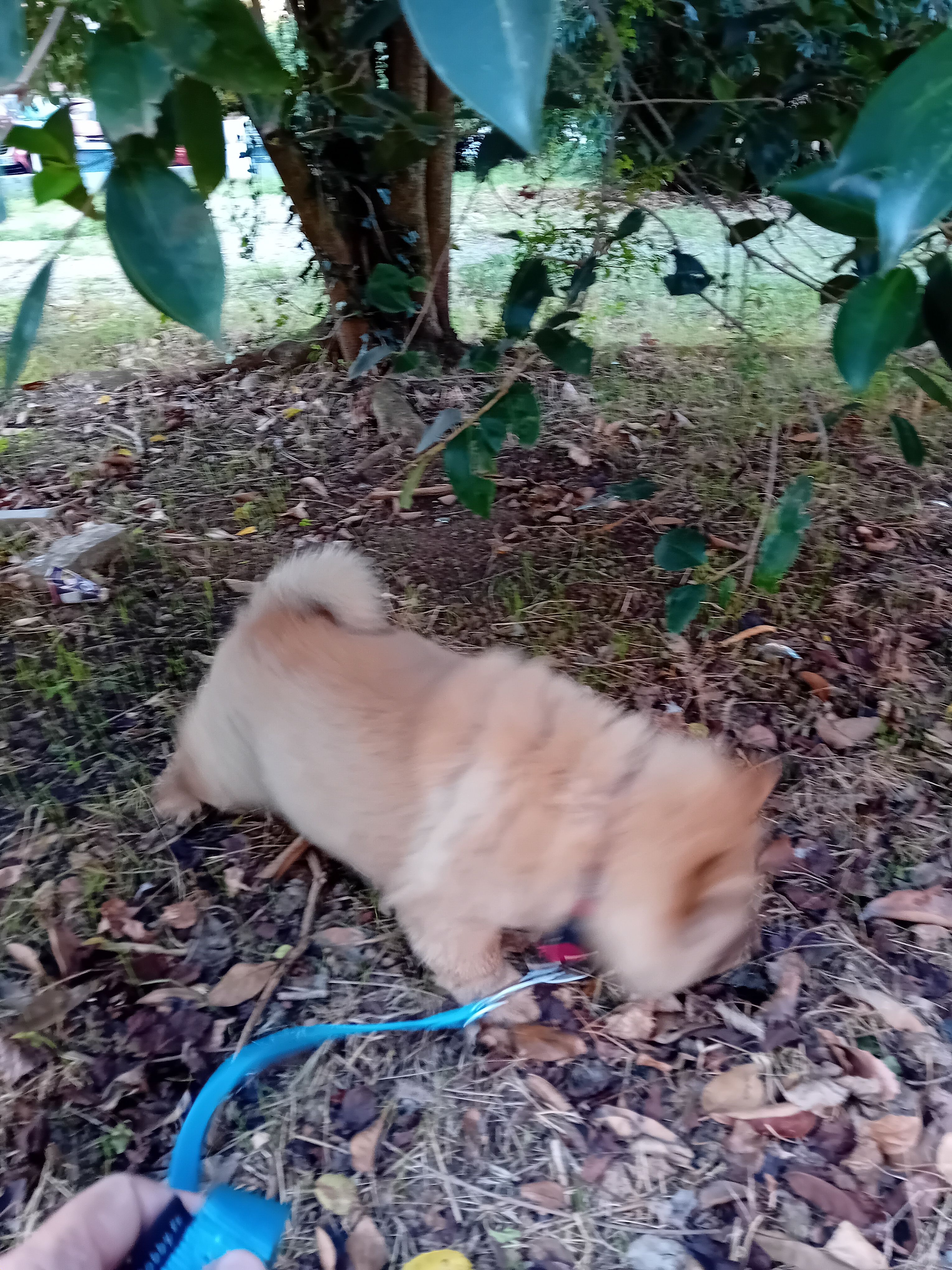 image-11