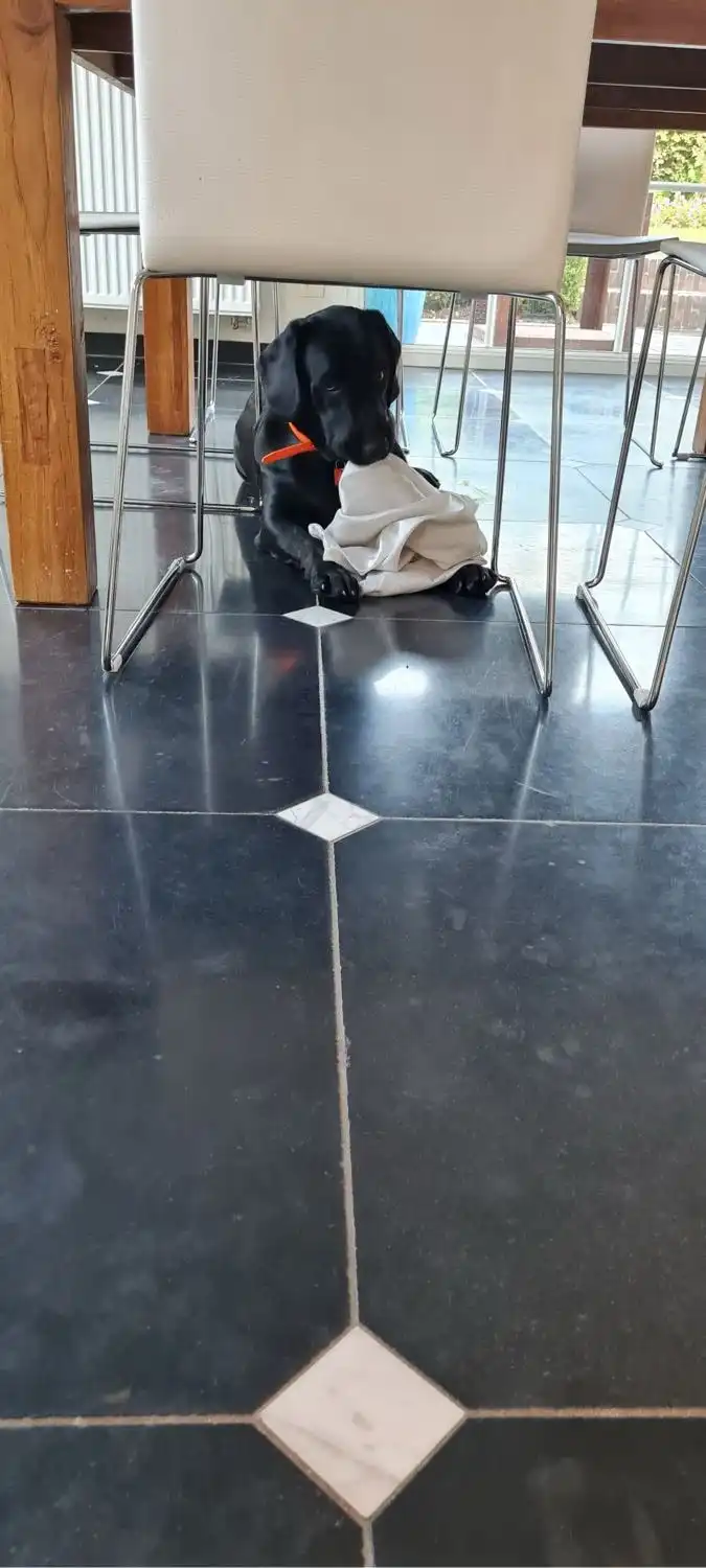 image-7