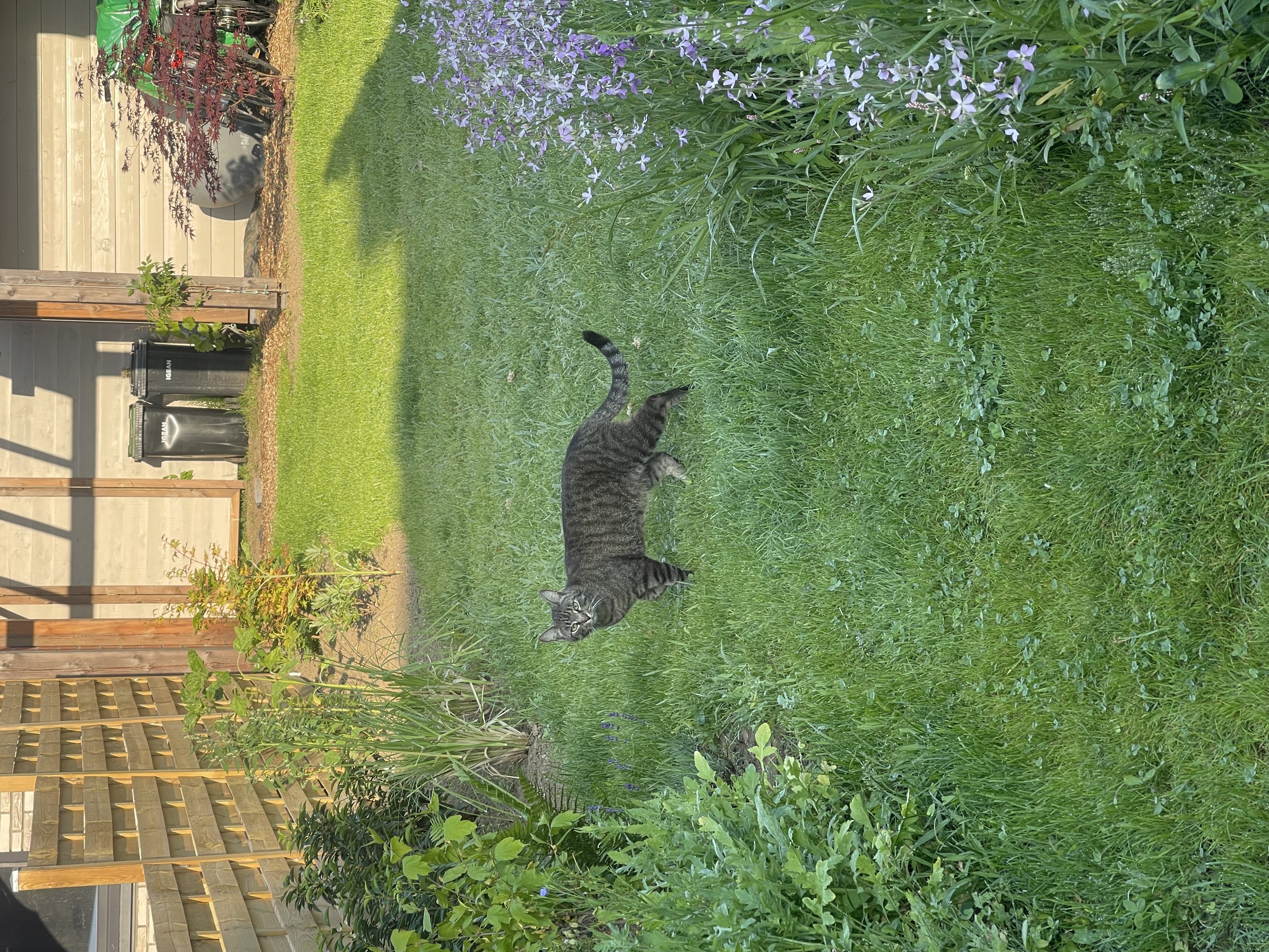 image-18