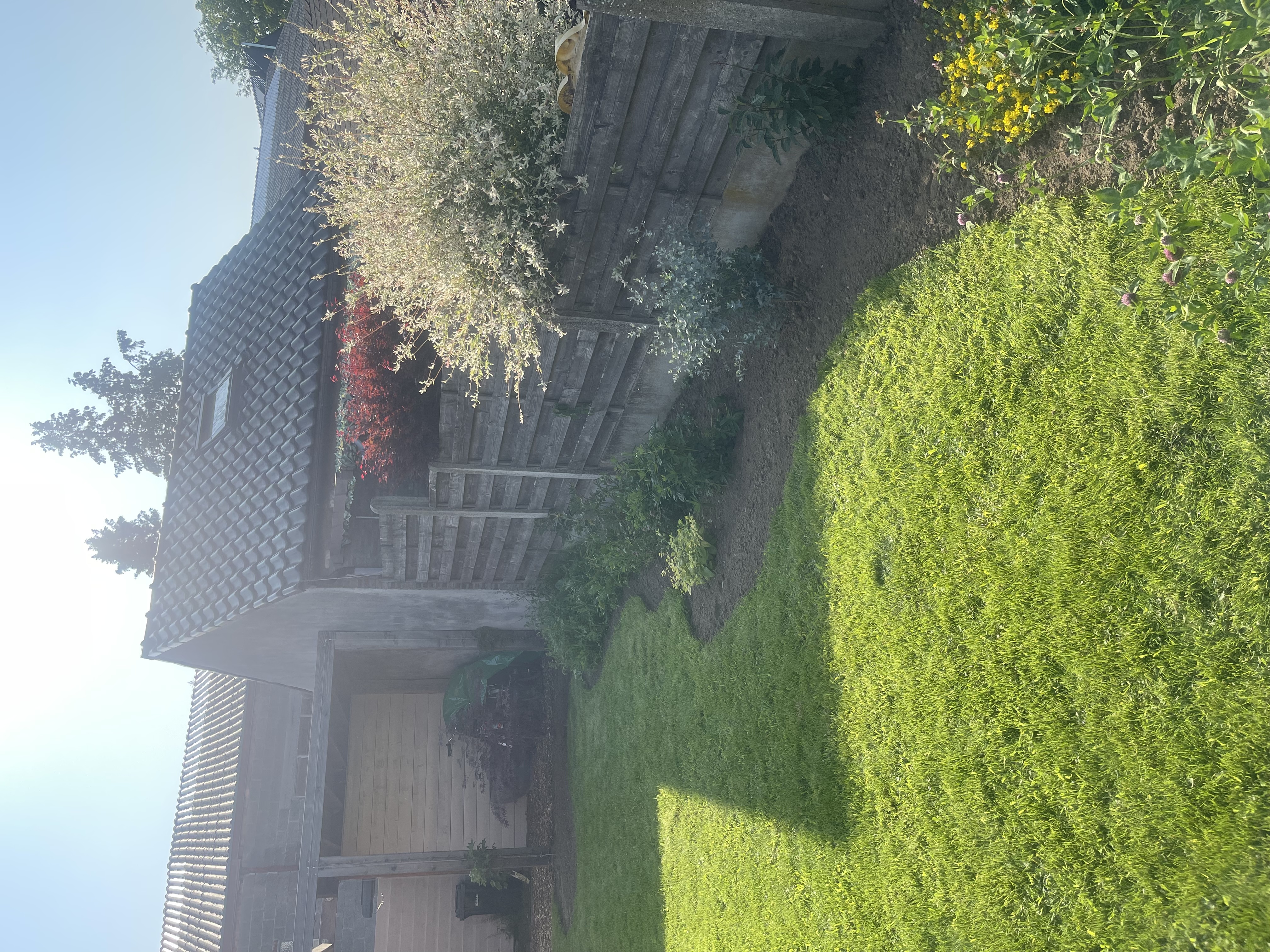image-16