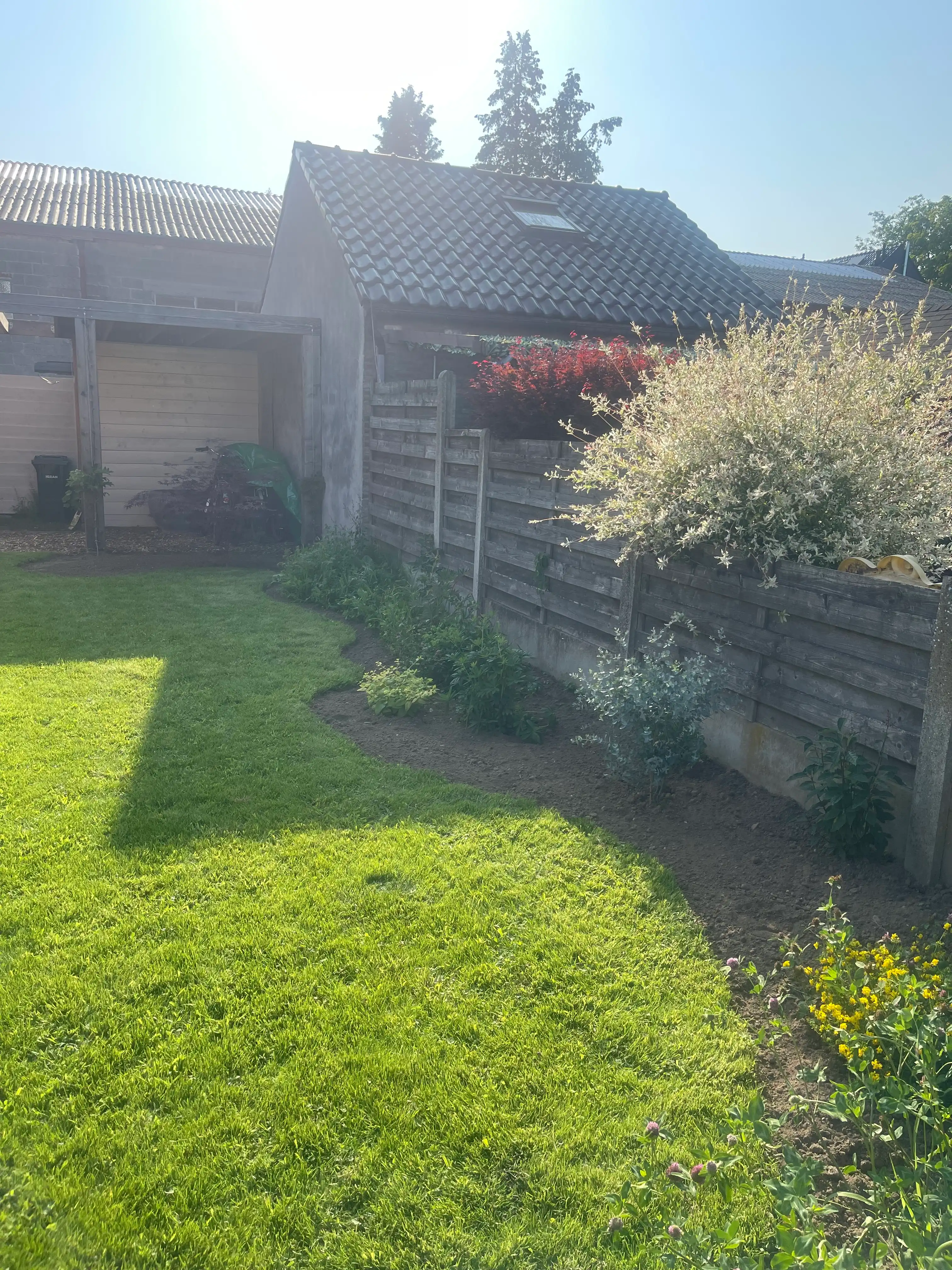 image-16