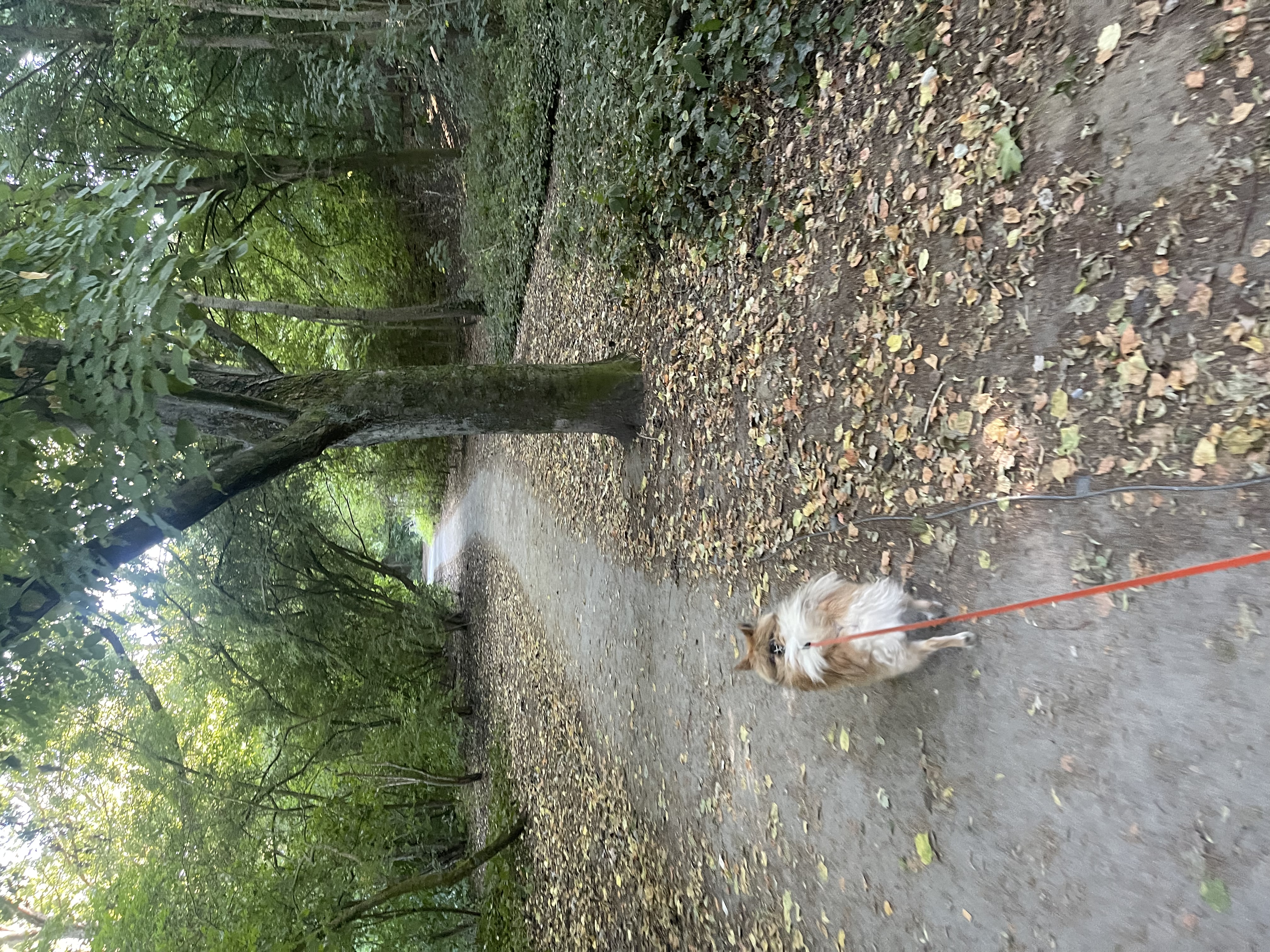 image-13