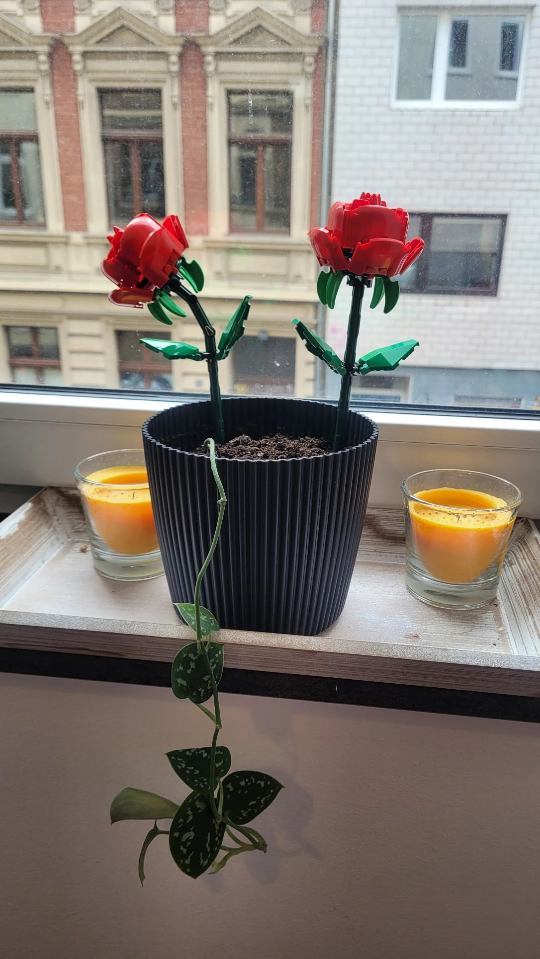 image-12