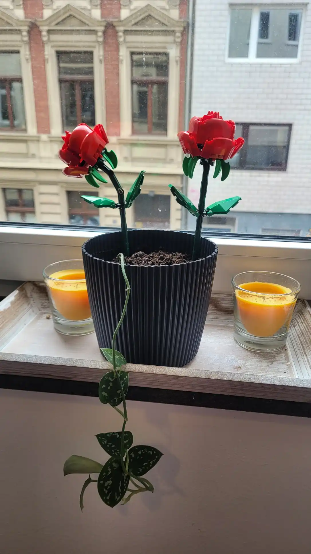 image-12