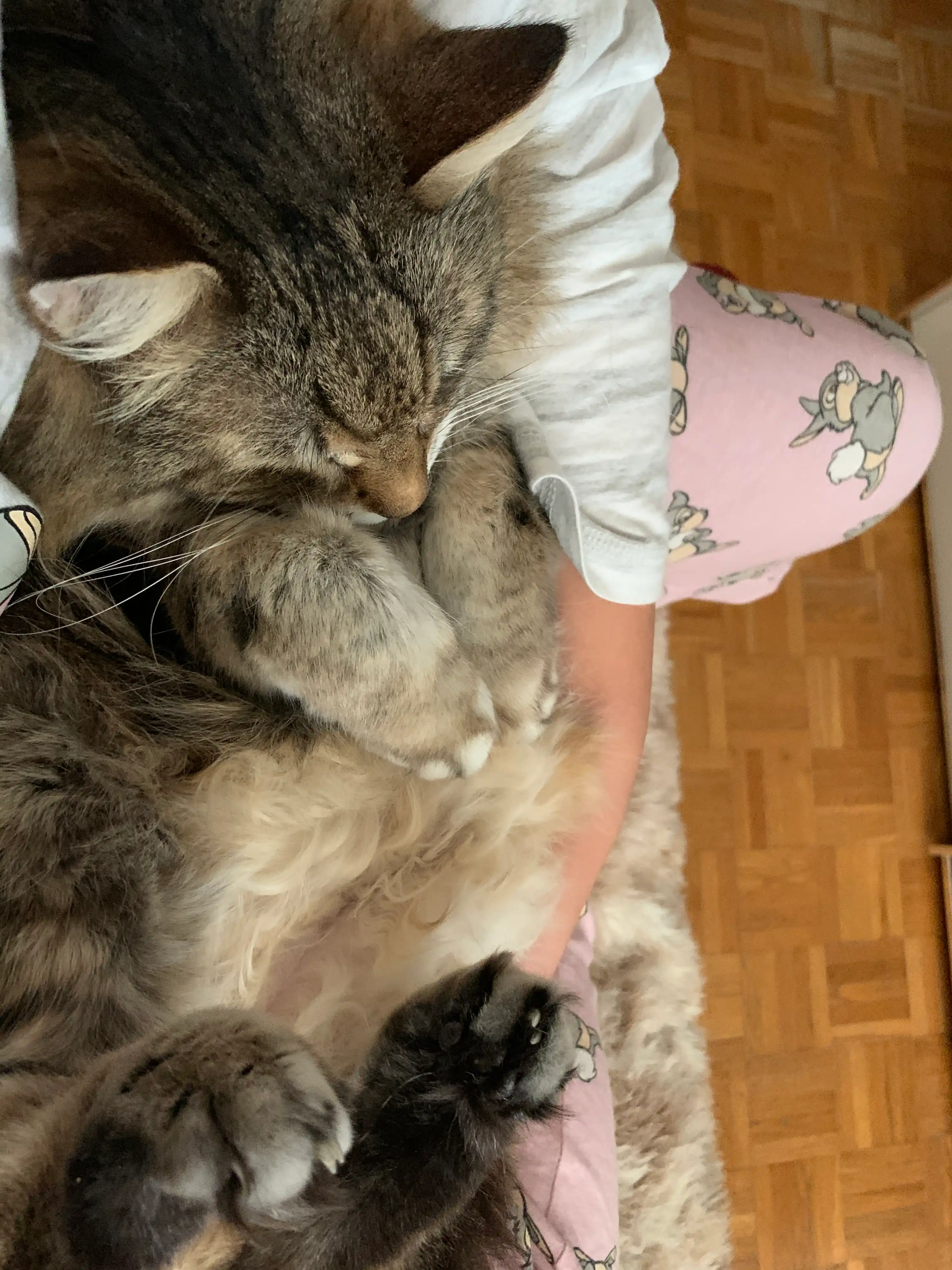 image-7