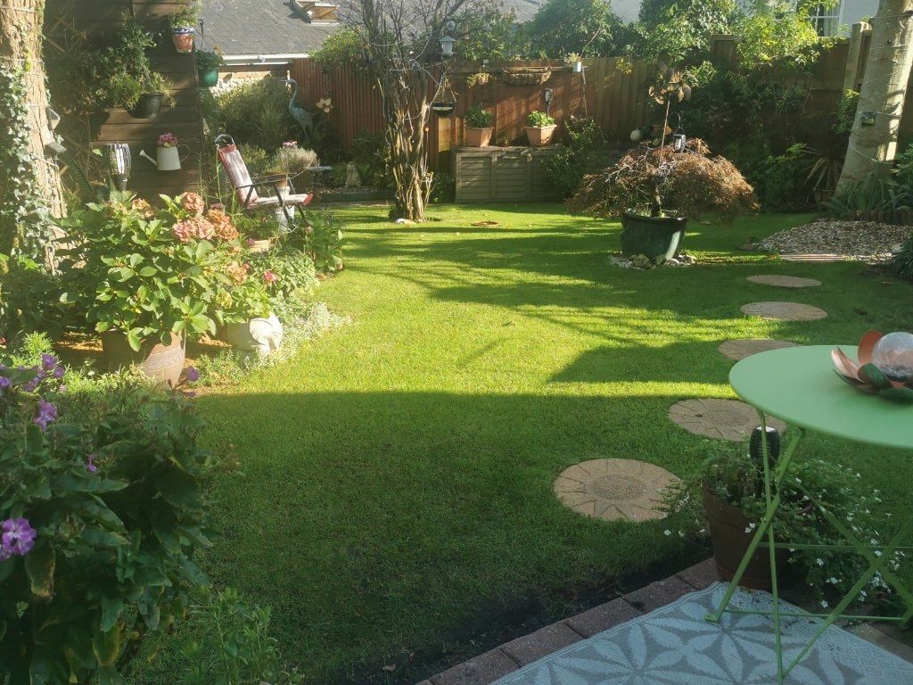 image-10