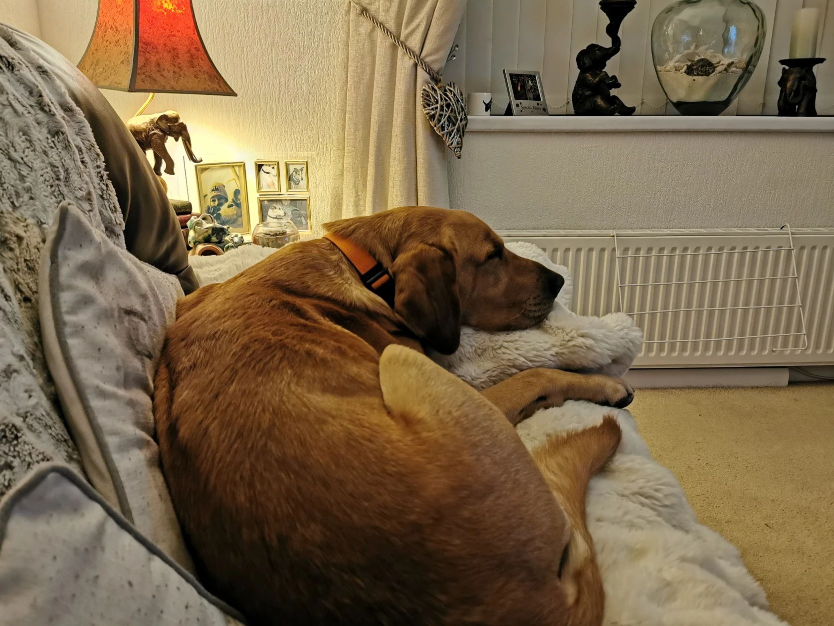 image-23