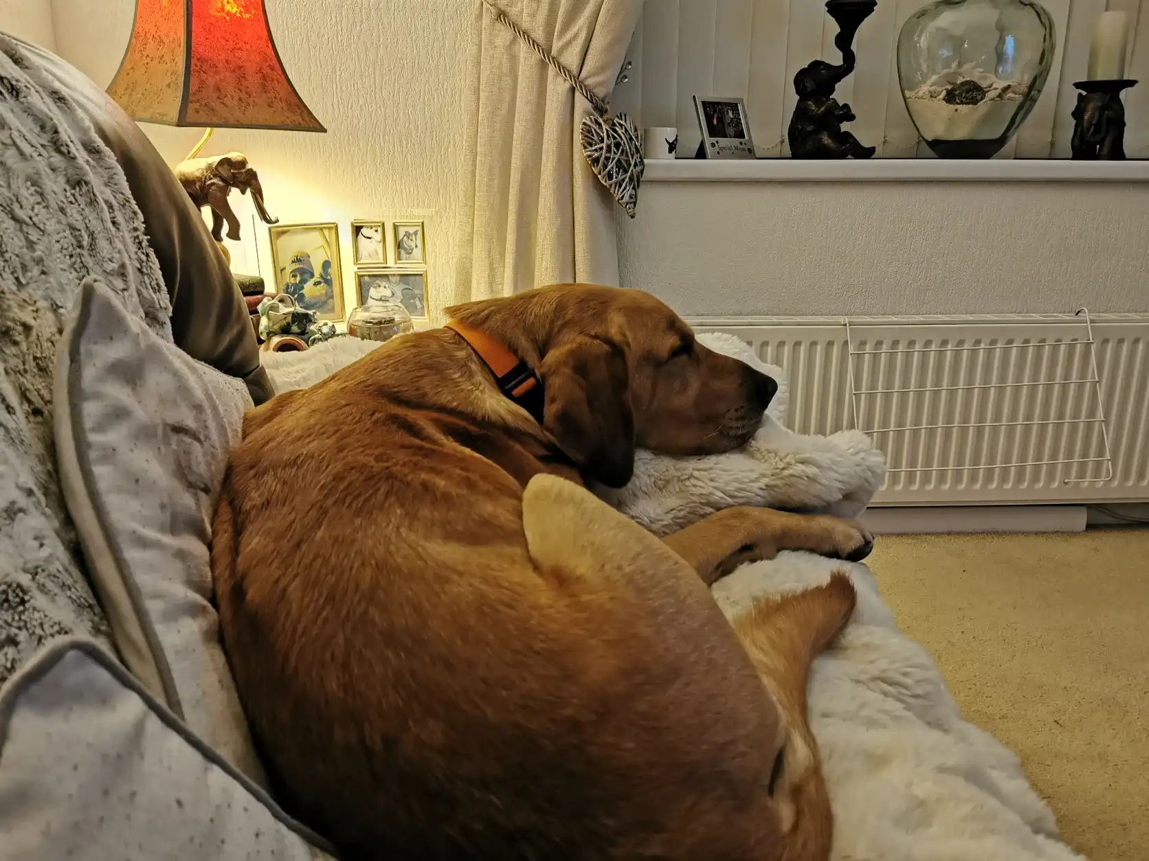 image-23
