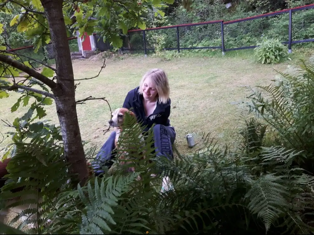 image-8