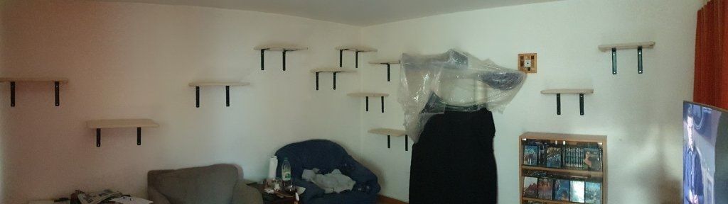 image-18