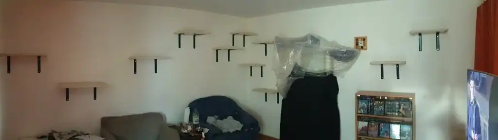 image-18