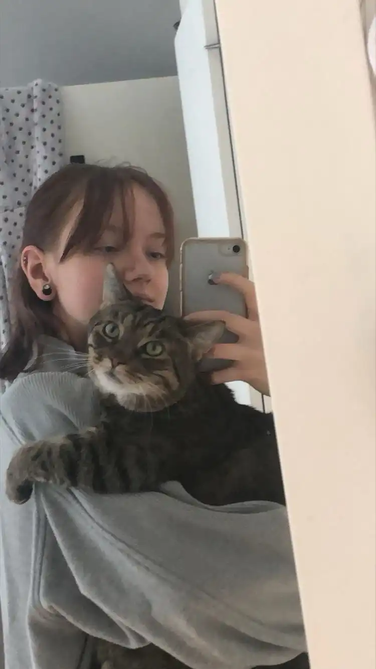 image-6
