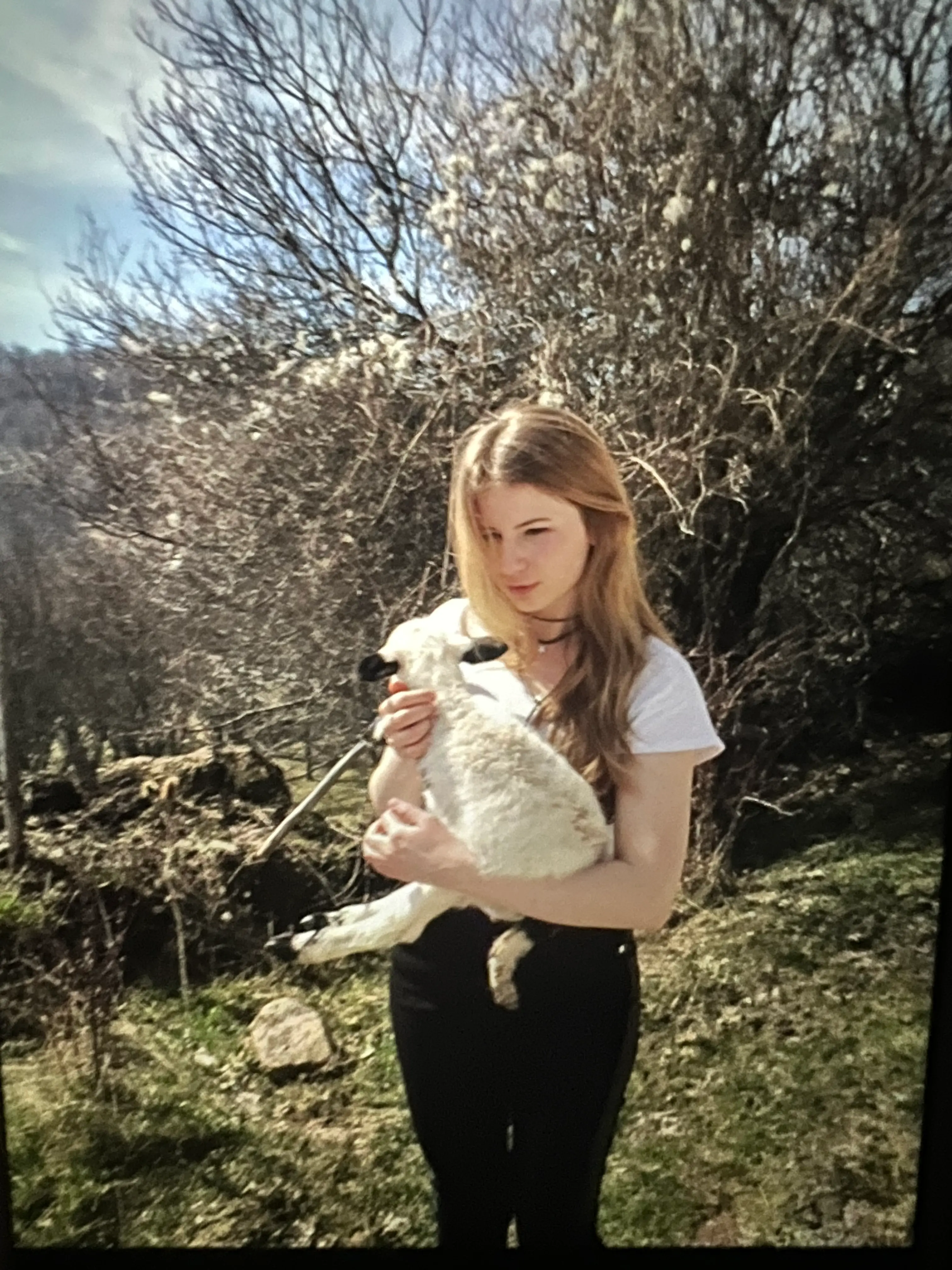 image-1