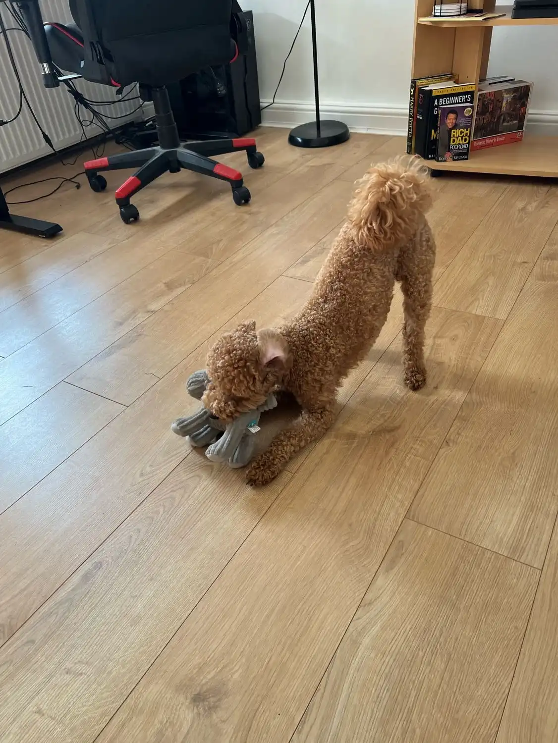 image-20