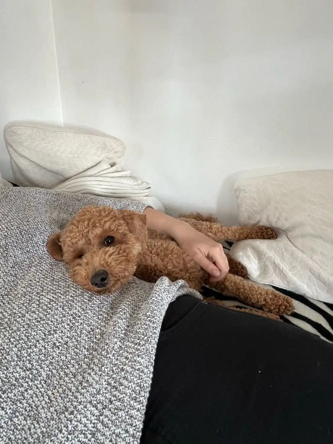 image-6