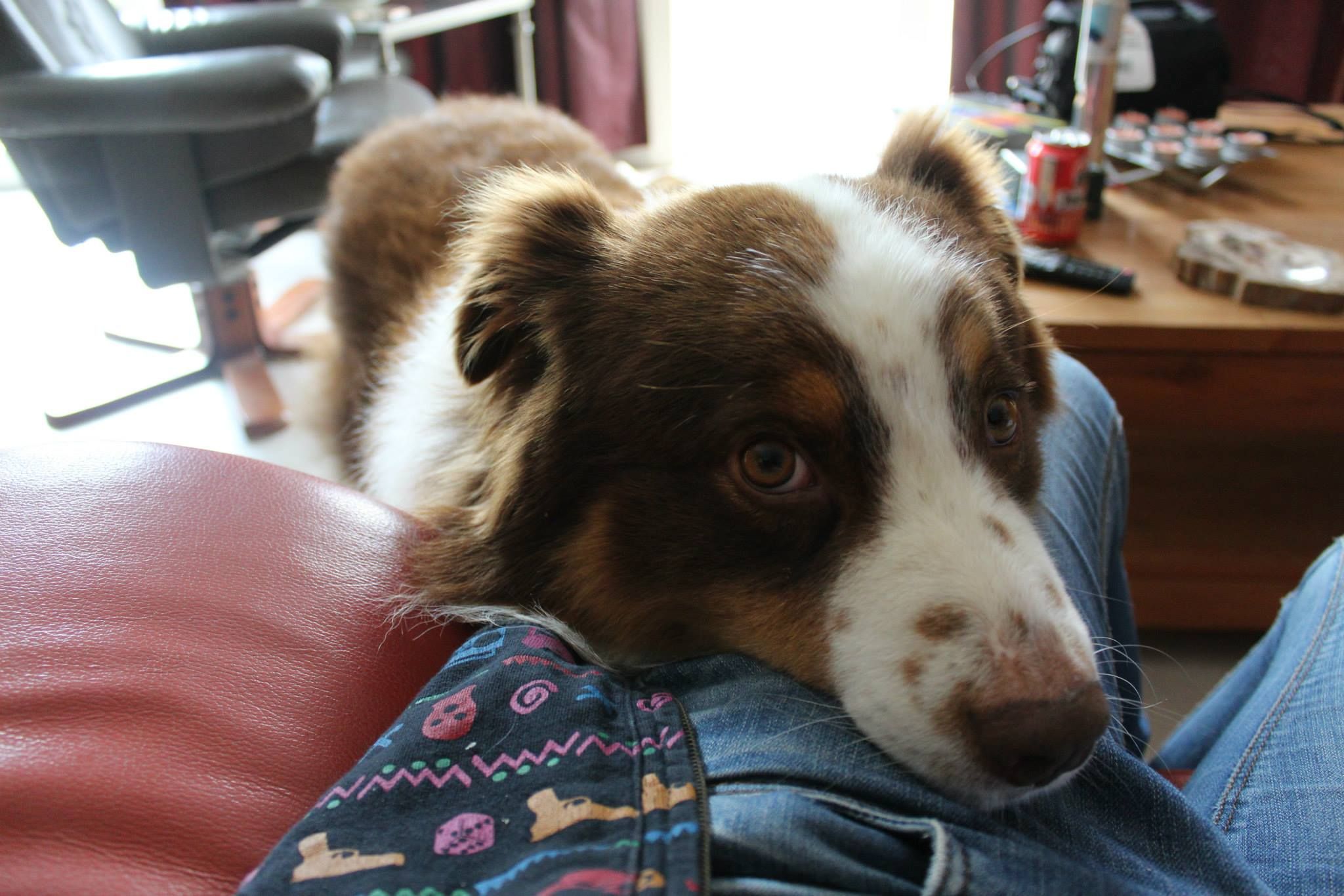 image-8