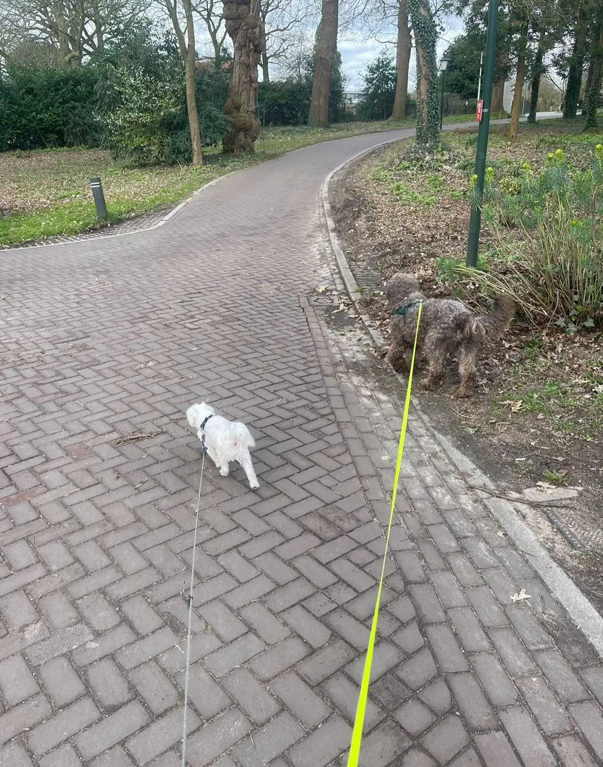 image-4