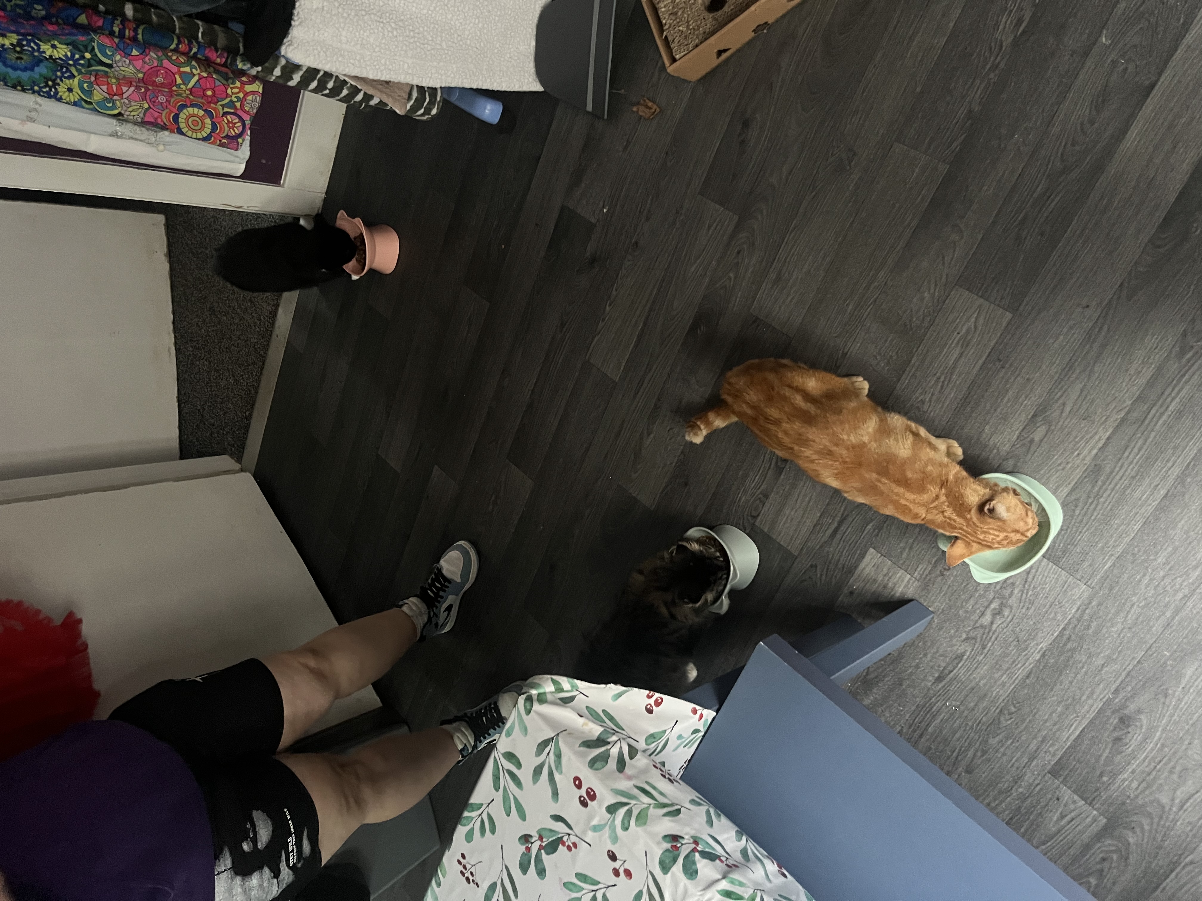 image-9