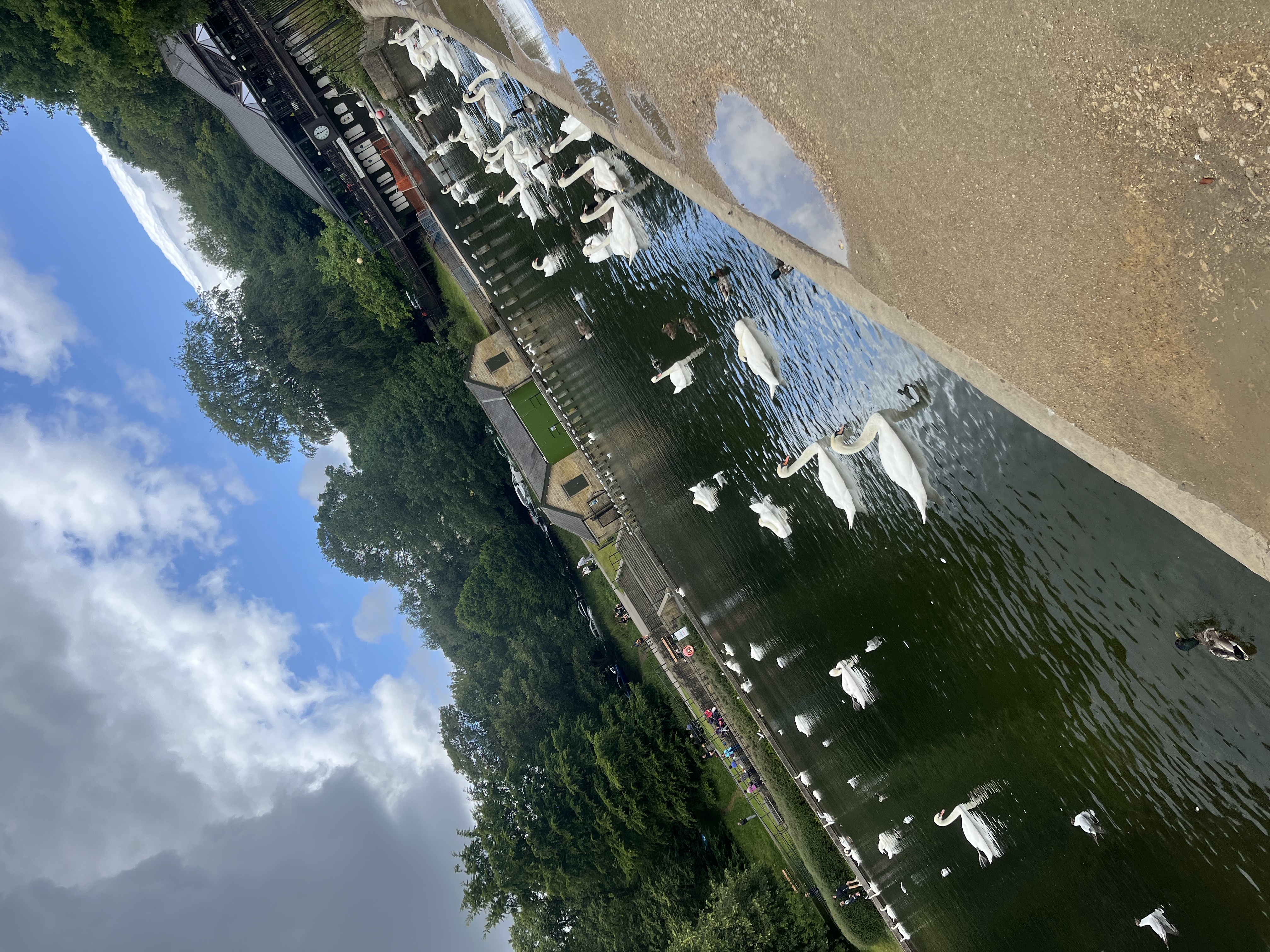 image-15