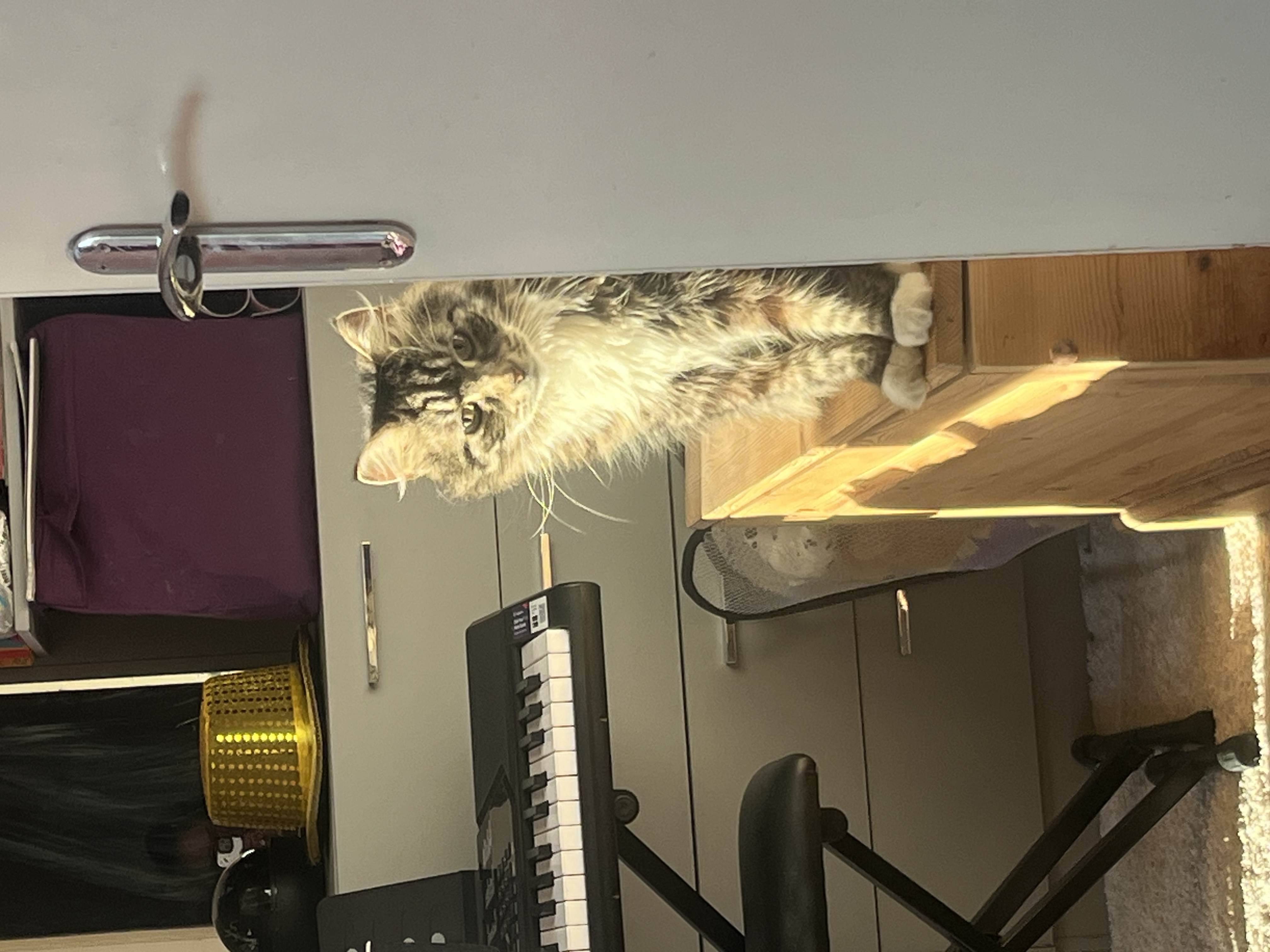 image-7