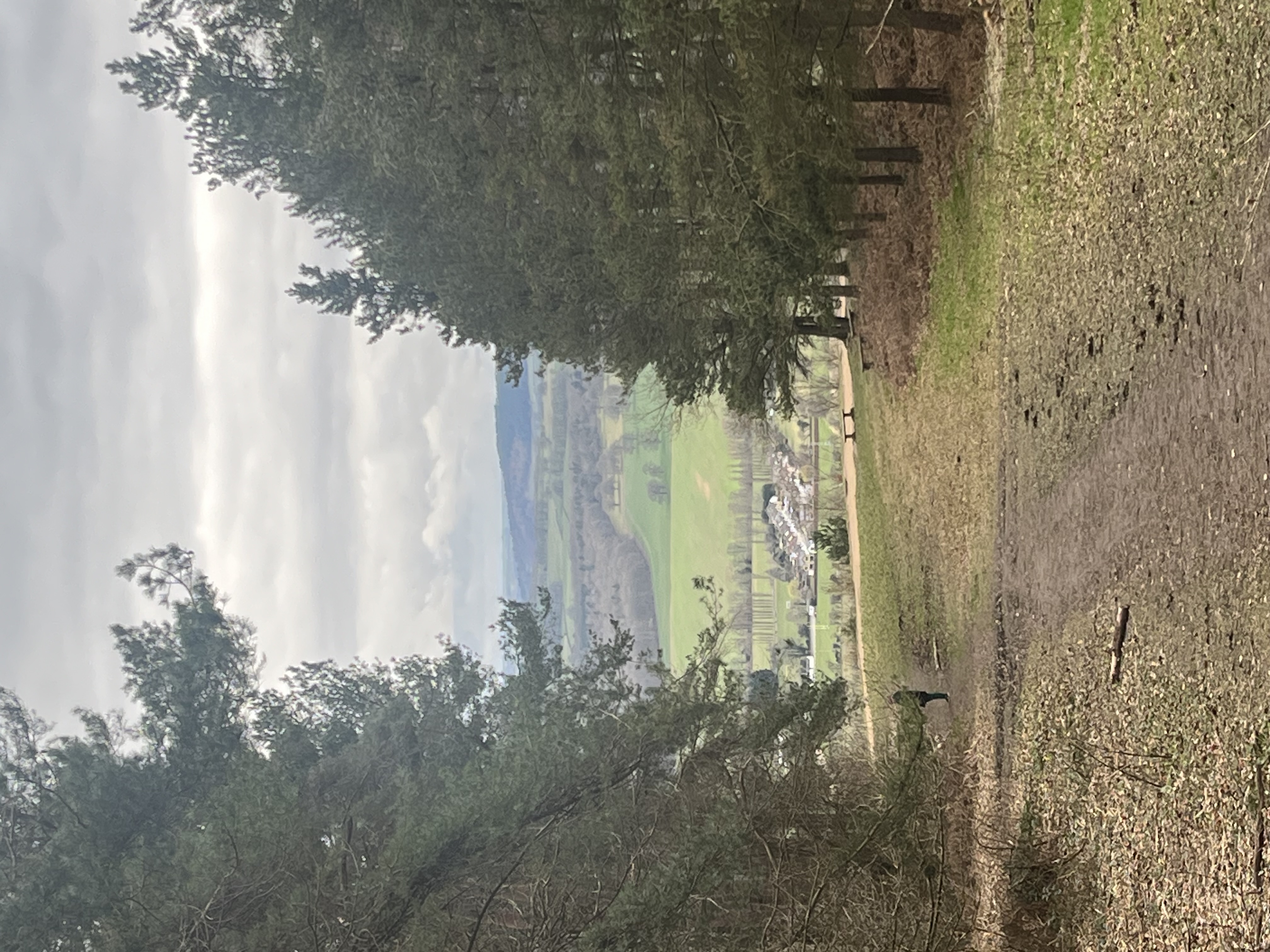 image-14