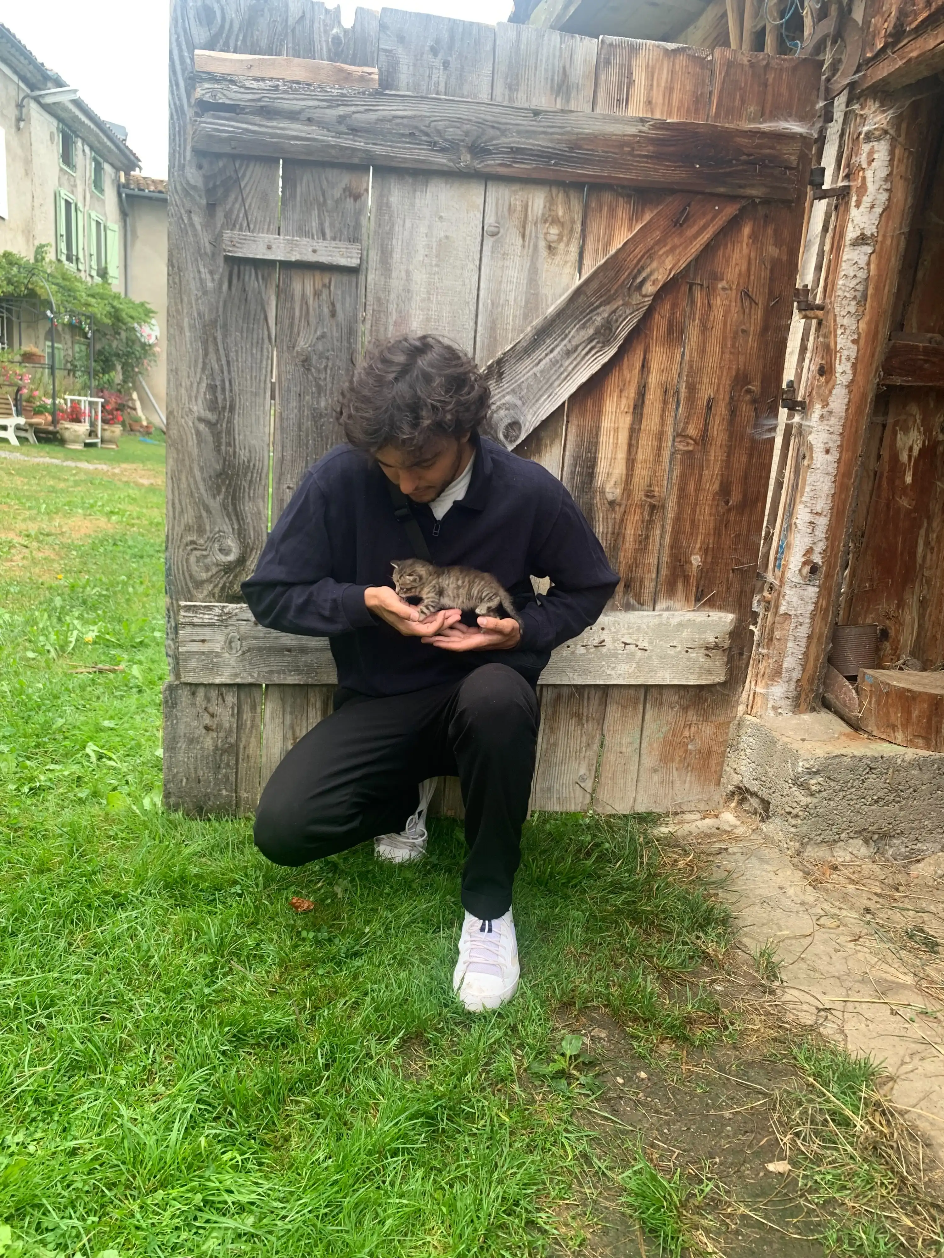 image-5