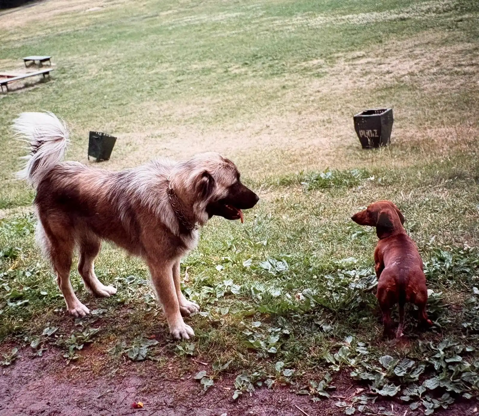 image-17