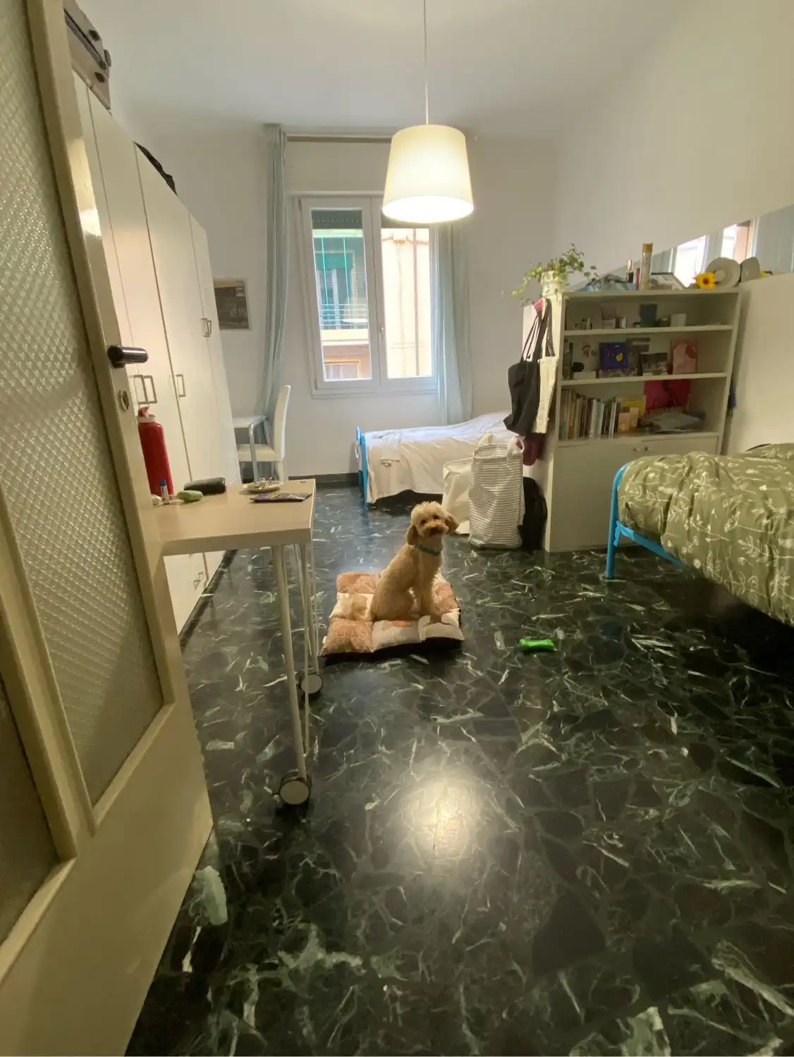 image-9