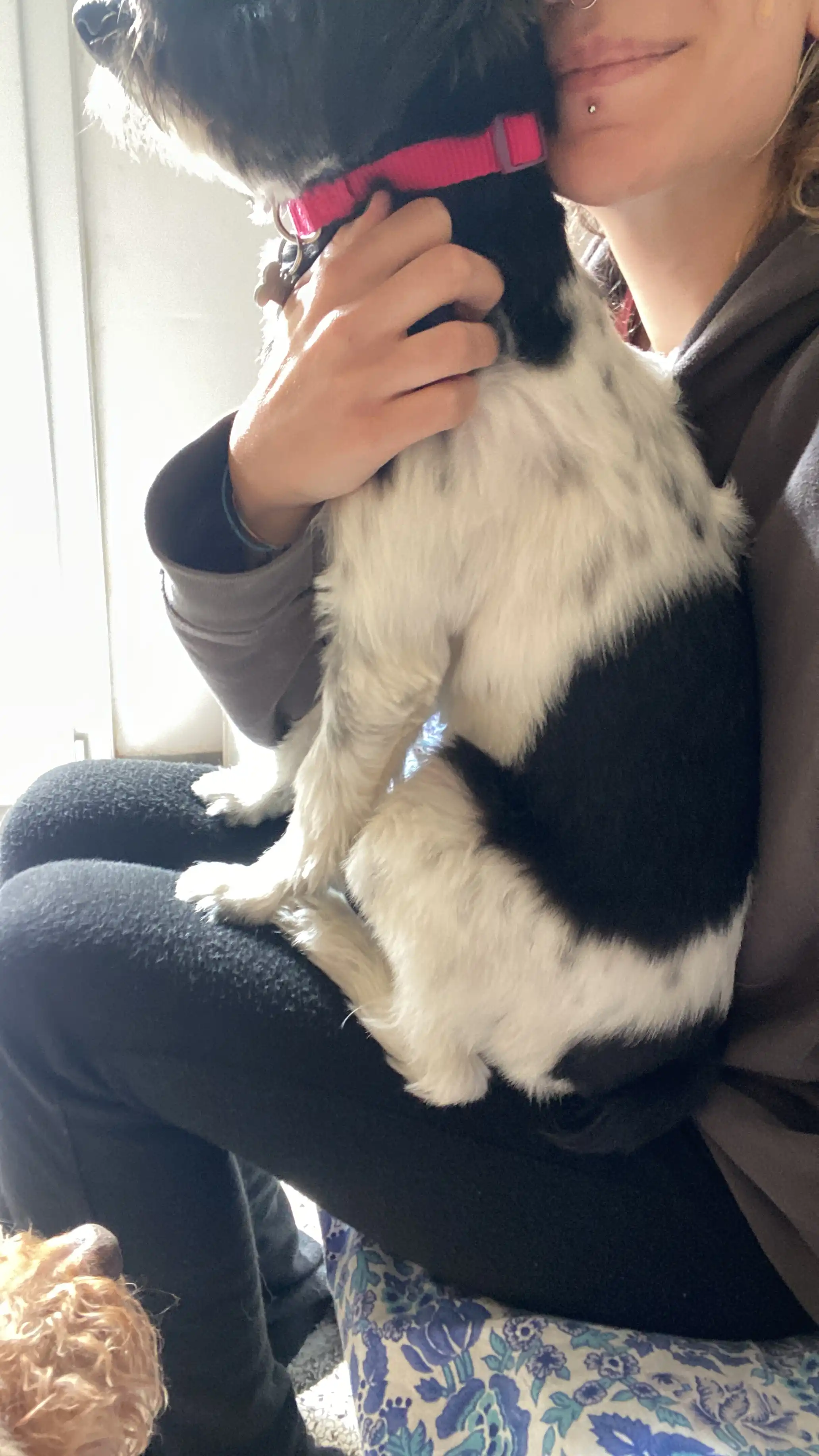 image-9
